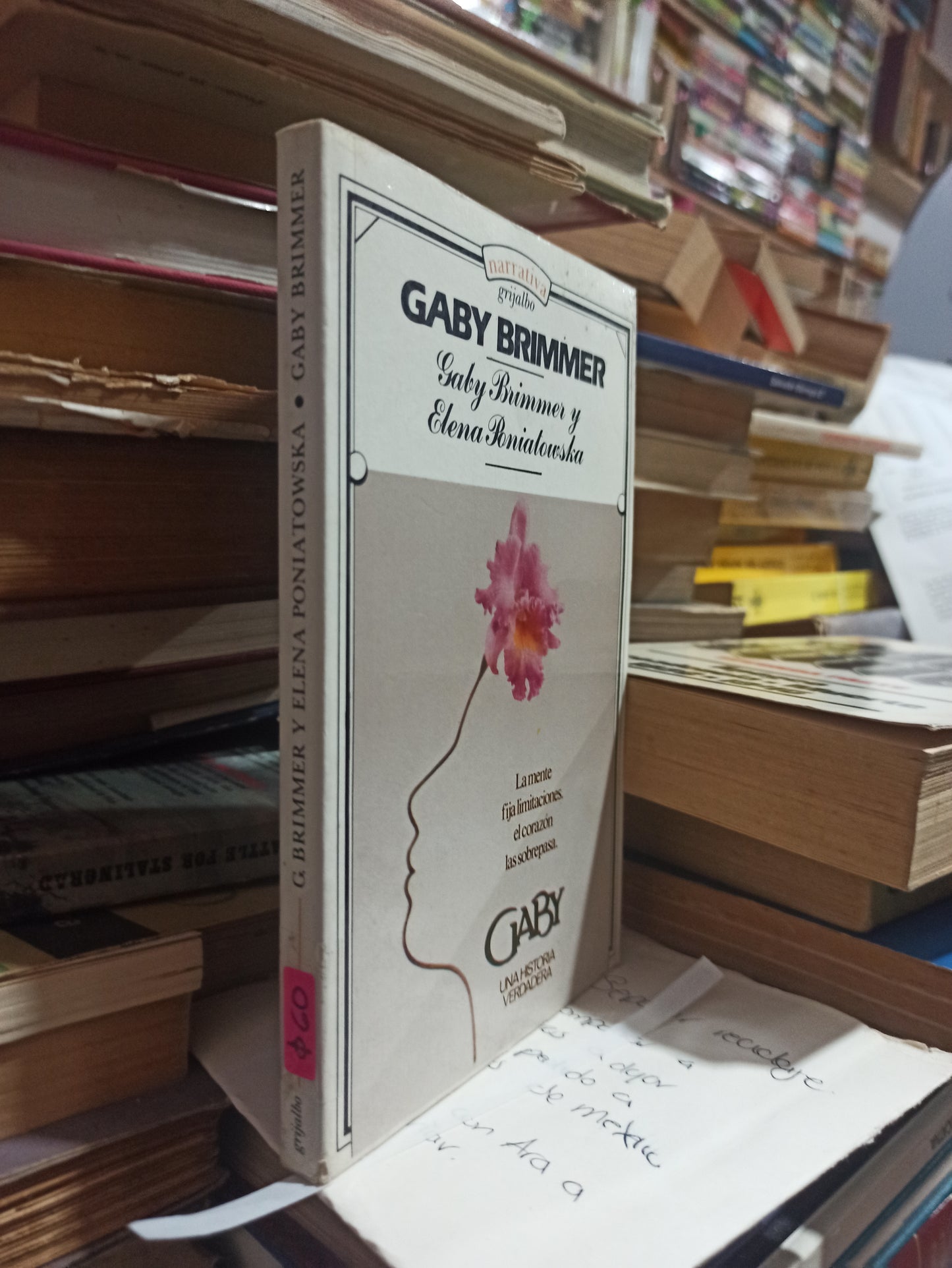 LA MENTE FIJA LIMITACIONES. EL CORAZÓN LAS SOBREPASA POR GABY BRIMMER USADO NOVELAS ALDAMA