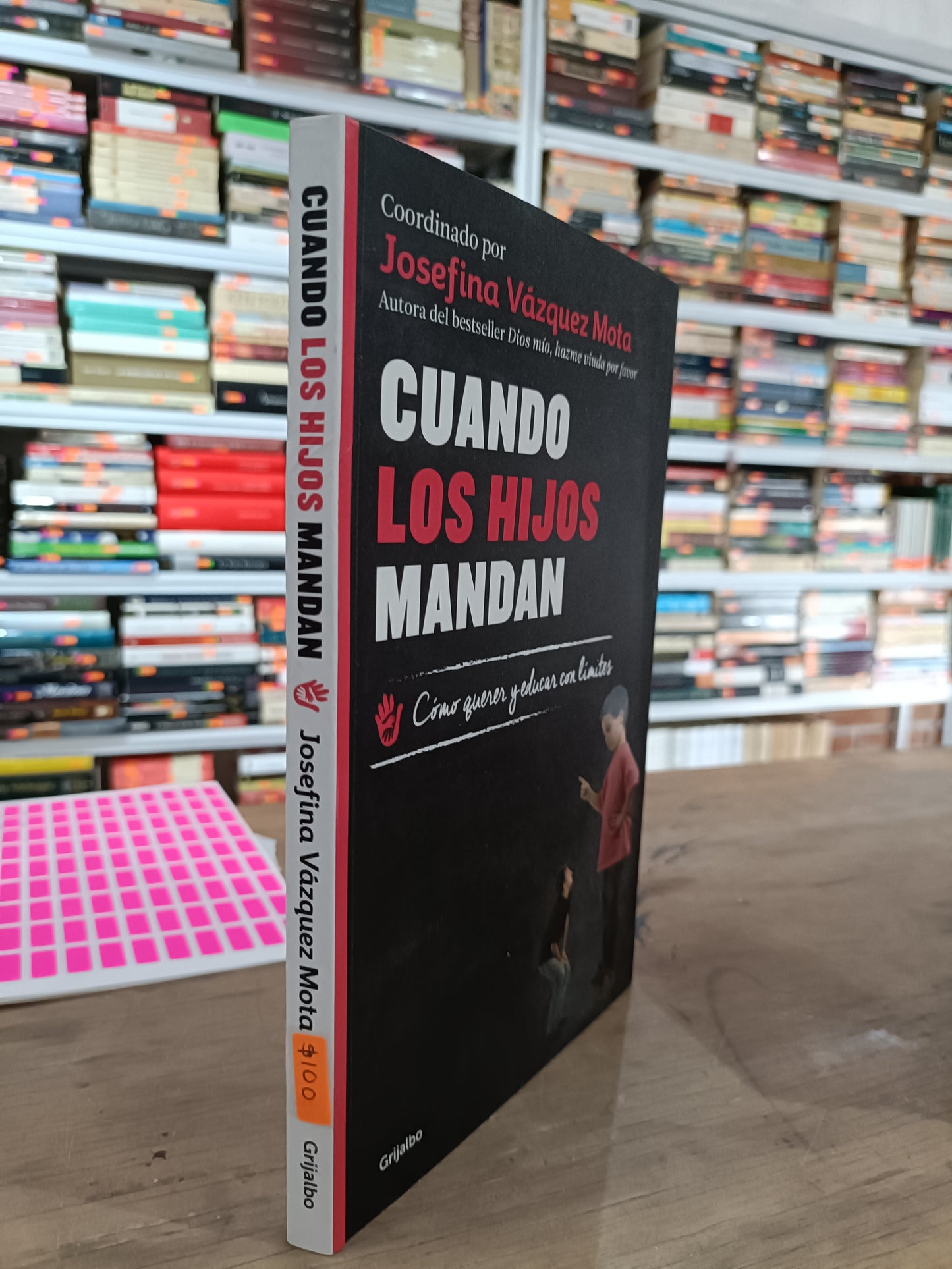 CUANDO LOS HIJOS MANDAN POR JOSEFINA VAZQUEZ MOTA USADO NOVELA JUAREZ 515