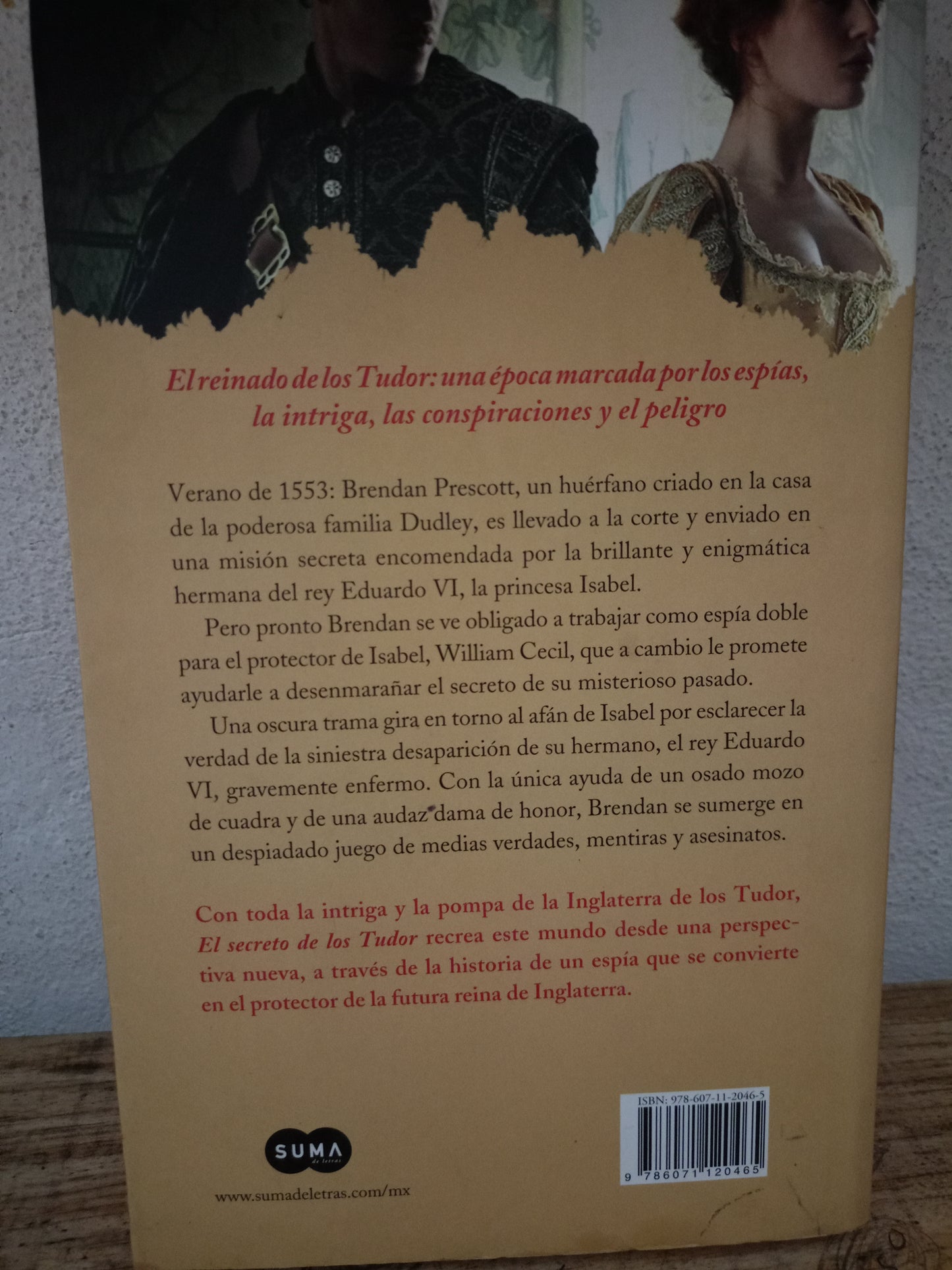 EL SECRETO DE LOS TUDOR C.W. GORTNER USADO NOVELA LITERARIO 305