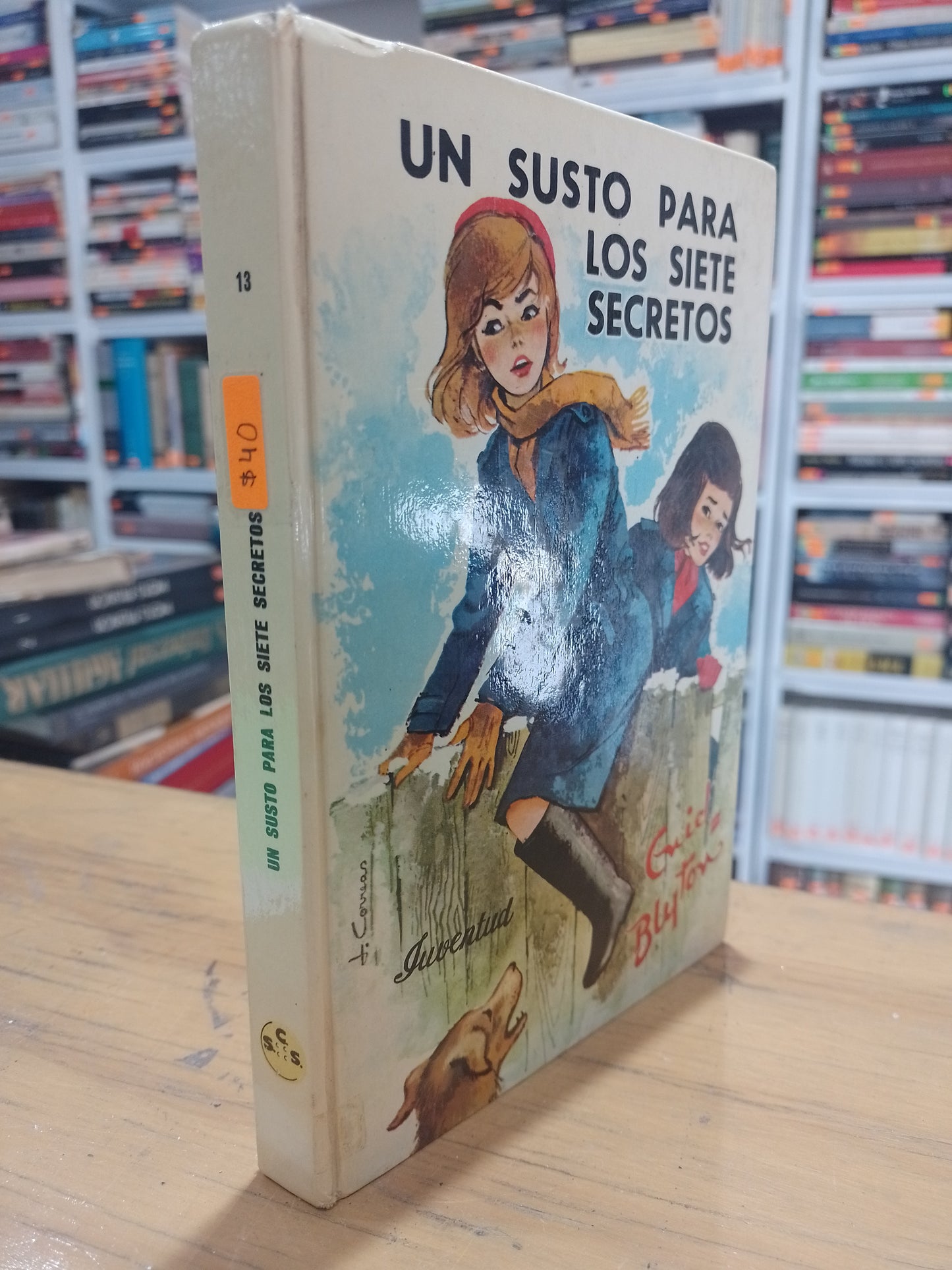 UN SUSTO PARA LOS SIETE SECRETOS POR ENID BLYTON USADO NOVELA JUAREZ 515