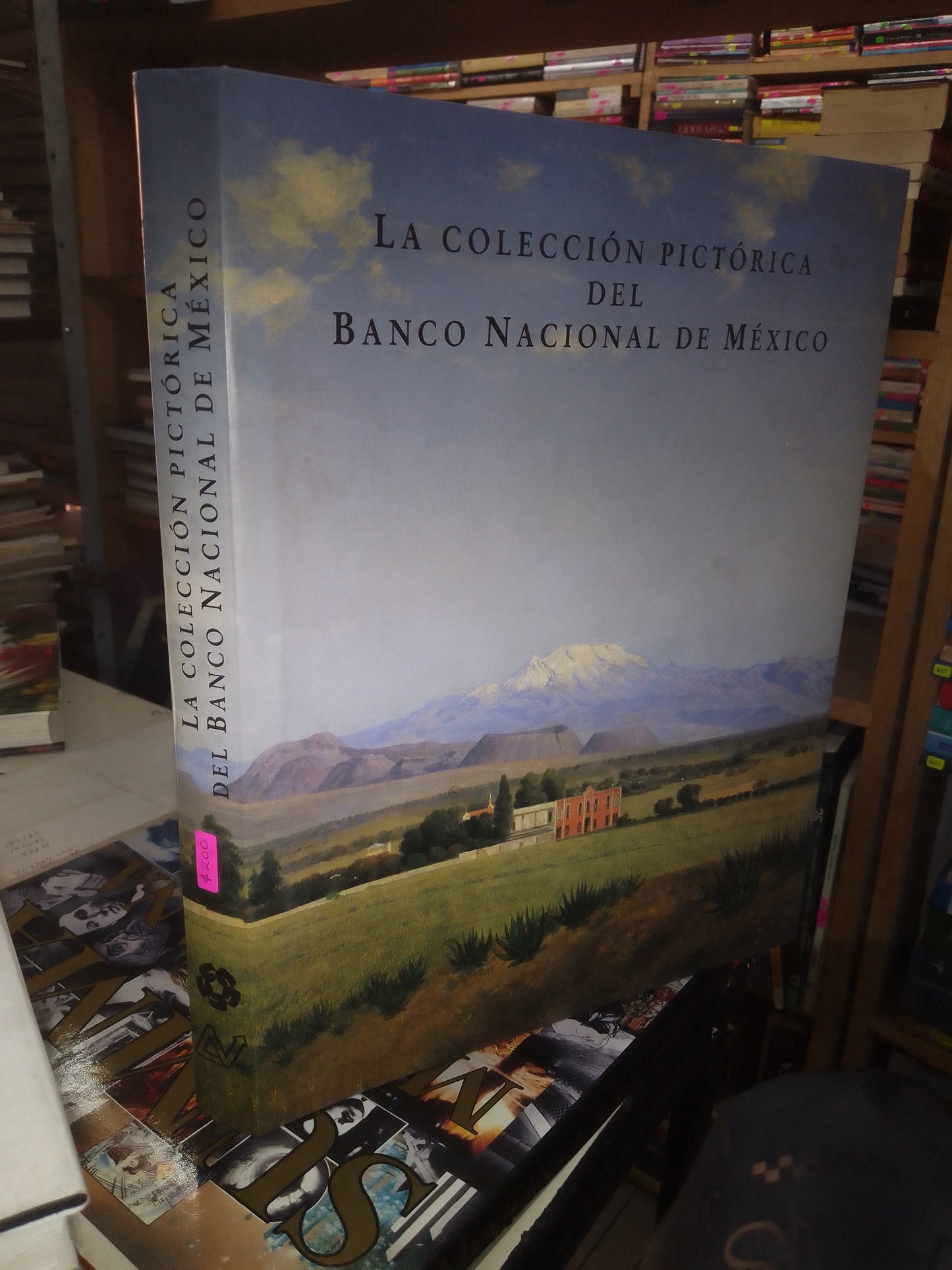 LA COLECCIÓN PICTÓRICA DEL BANCO NACIONAL DE MÉXICO (VARIOS AUTORES) USADO ARTE LITERARIO 207