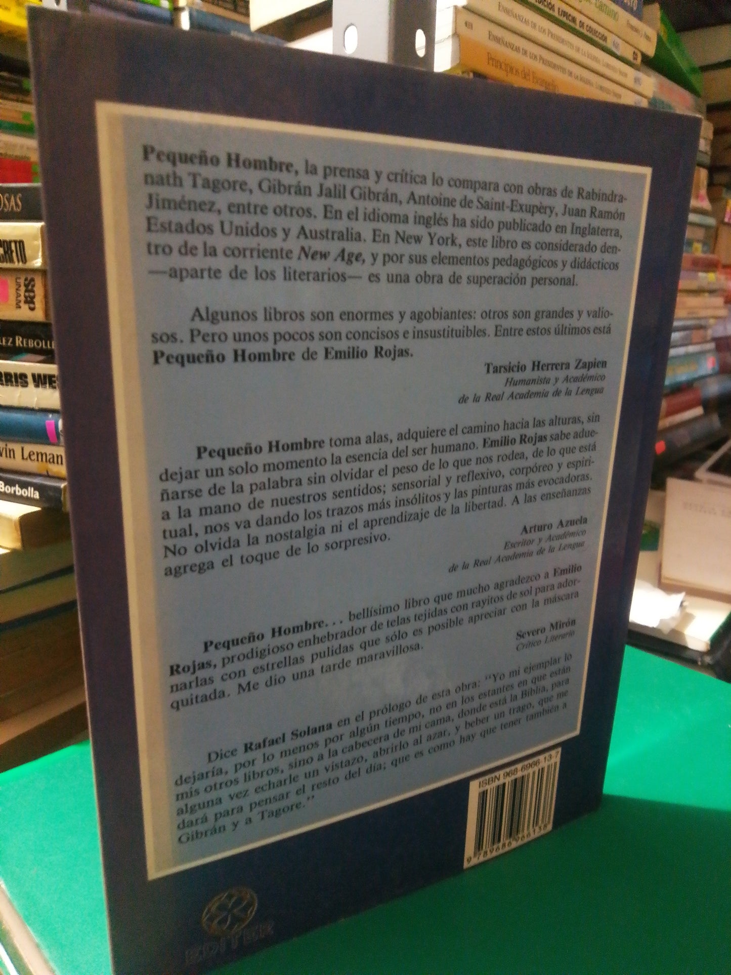 PEQUEÑO HOMBRE POR EMILIO ROJAS USADO NOVELA JUAREZ