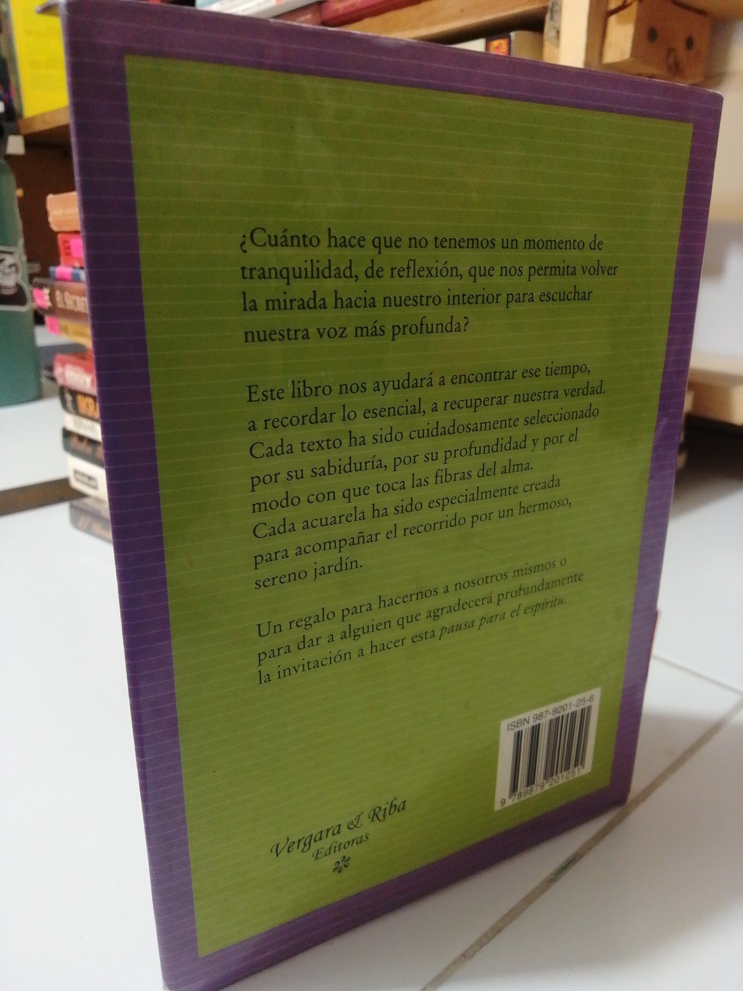UNA PAUSA PARA EL ESPÍRITU POR LIDIA MARIA RIBA USADO NOVELA JUÁREZ