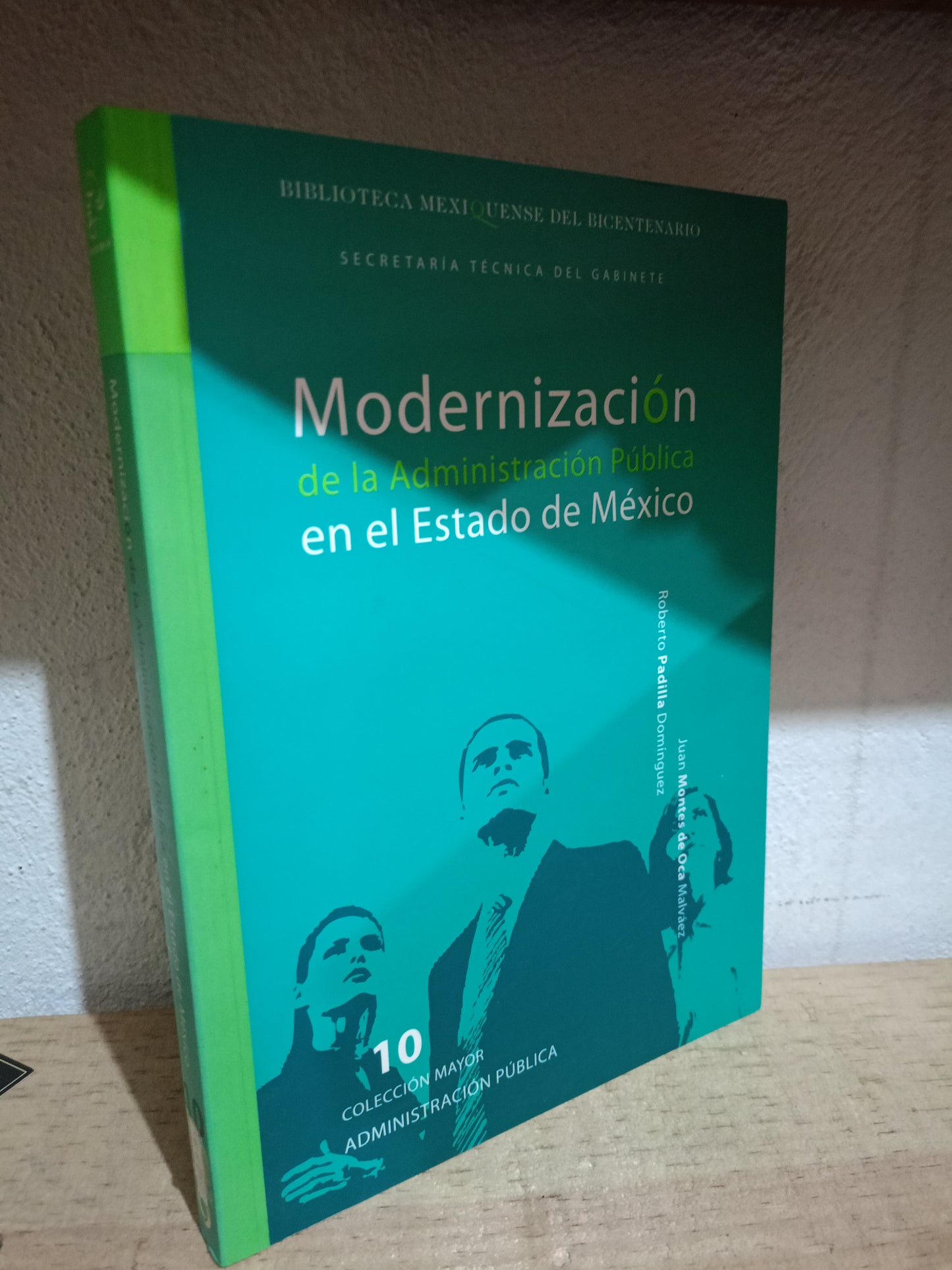 MODERNIZACION DE LA ADMINISTRACION PUBLICA EN EL ESTADO DE MEXICO POR ROBERTO PADILLA DOMINGUEZ JUAN MONTES DE OCA MALVEAZ USADO ADMIN LITERARIO 305