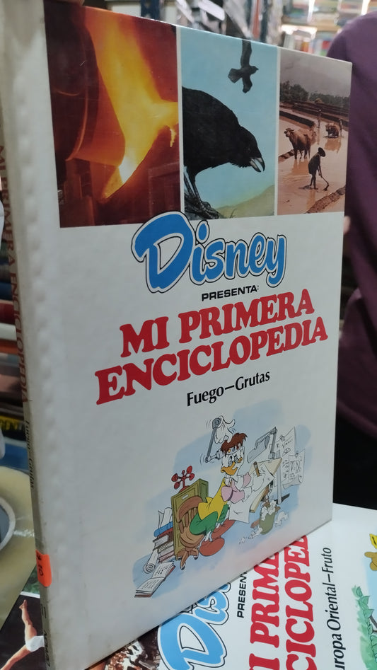 MI PRIMERA ENCICLOPEDIA FUEGO GRUTAS LIBRO USADO INFANTIL ALDAMA
