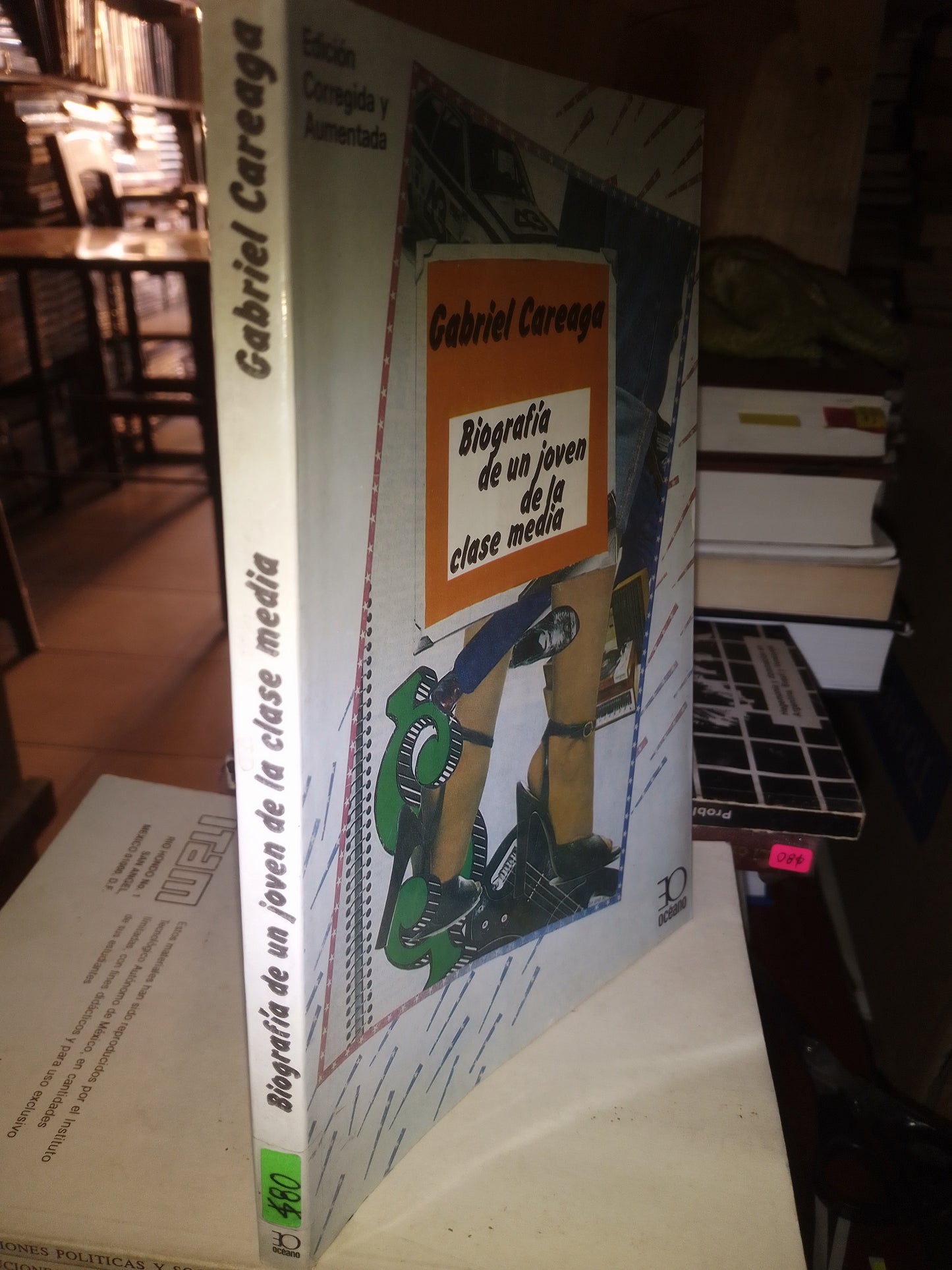 BIOGRAFÍA DE UN JOVEN DE LA CLASE MEDIA POR GABRIEL CAREAGA USADO SOCIOLOGÍA LITERARIO 207