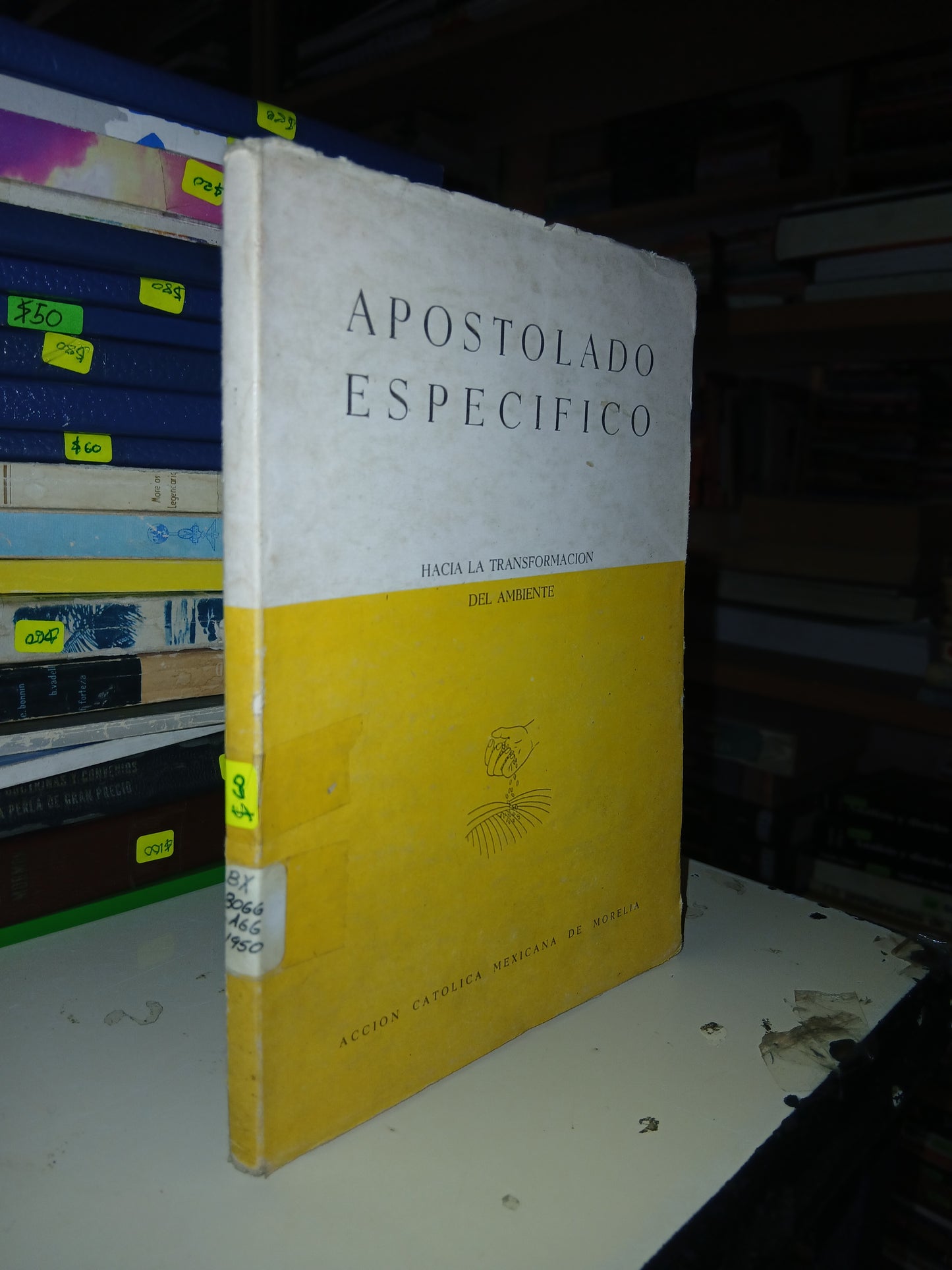 APOSTOLADO ESPECÍFICO POR EL EQUIPO DE ASISTENTES ECLESIÁSTICOS DEL ARZOBIZPADO DE MORELIA USADO RELIGIÓN LITERARIO 207