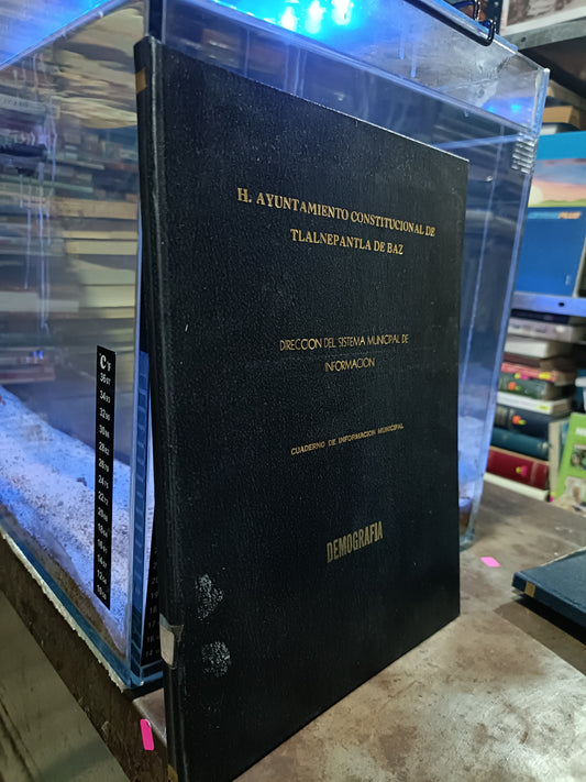 DICCION DEL SISTEMA MUNICIPAL DE INFORMACION DEMOGRAFIA USADO HISTORIA ALDAMA
