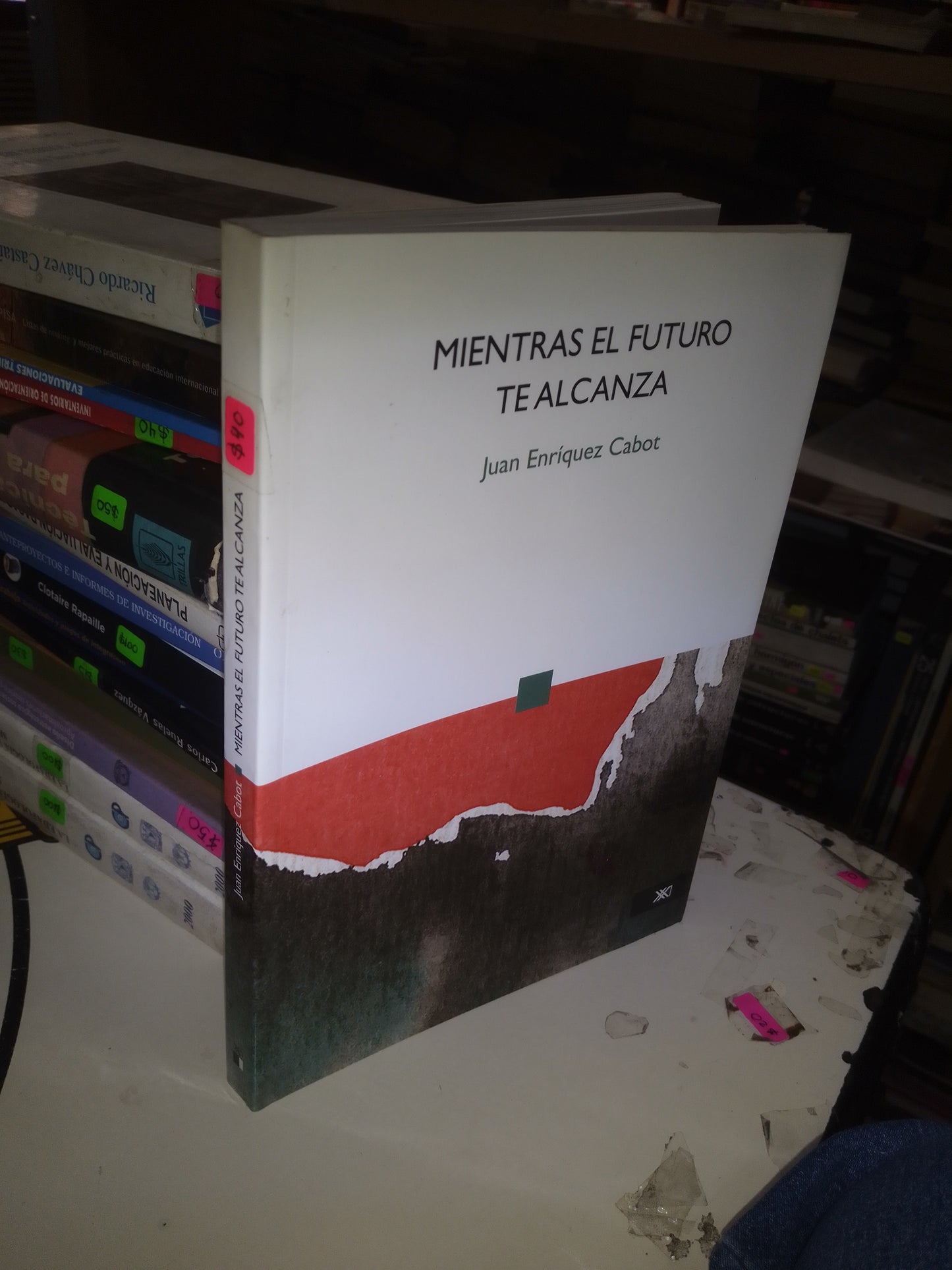 MIENTRAS EL FUTURO TE ALCANZA POR JUAN ENRÍQUEZ CABOT USADO EDUCACIÓN LITERARIO 207