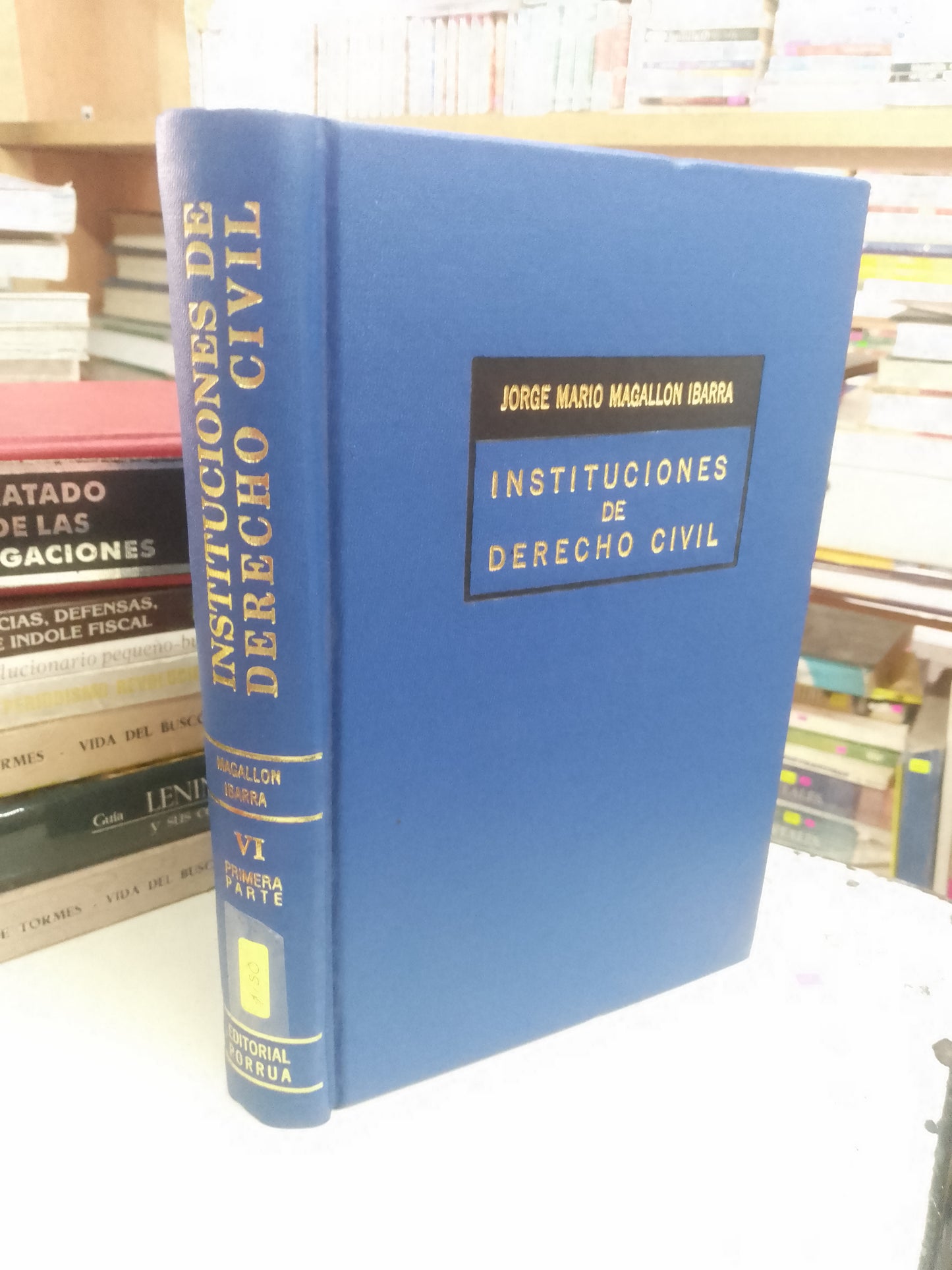 INSTITUCIONES DE DERECHO CIVIL POR JORGE MARIO MAGALLÓN IBARRA USADO DERECHO LITERARIO 207