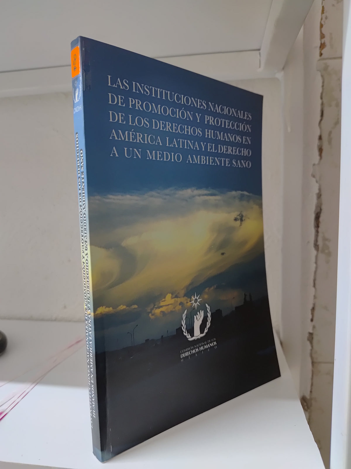 LAS INSTITUCIONES NACIONALES DE PROMOCION Y PROTECCION DE LOS DERECHOS HUMANOS EN AMERICA LATINA Y EL DERECHO A UN MEDIO AMBIENTE SANO POR LA CDNH USADO DERECHO JUAREZ 515