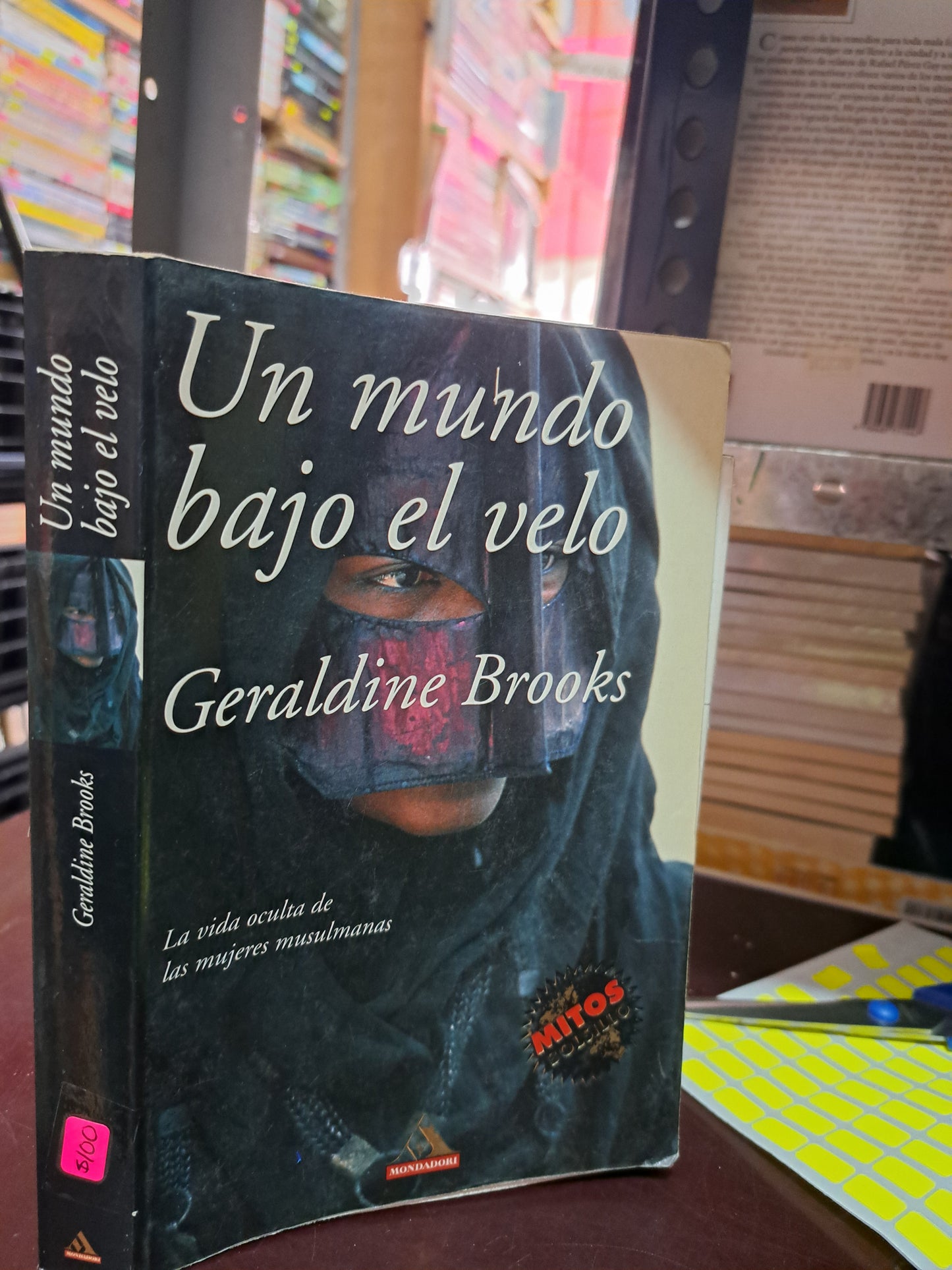 UN MUNDO BAJO EL VELO GERALDINE BROOKS USADO NOVELA LITERARIO 305
