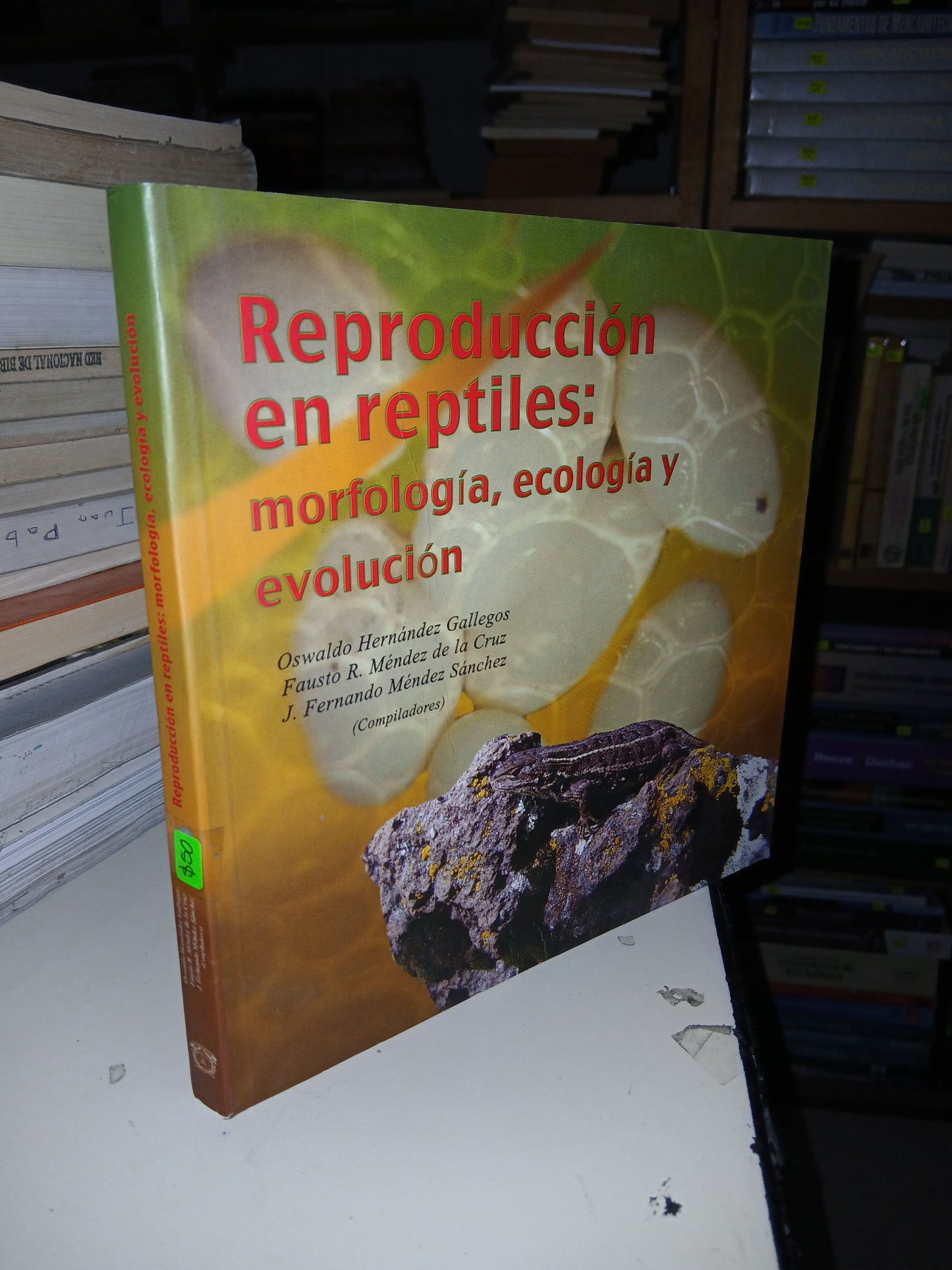 REPRODUCCIÓN EN REPTILES: MORFOLOGÍA, ECOLOGÍA Y EVOLUCIÓN (VARIOS AUTORES) USADO BIOLOGÍA LITERARIO 207
