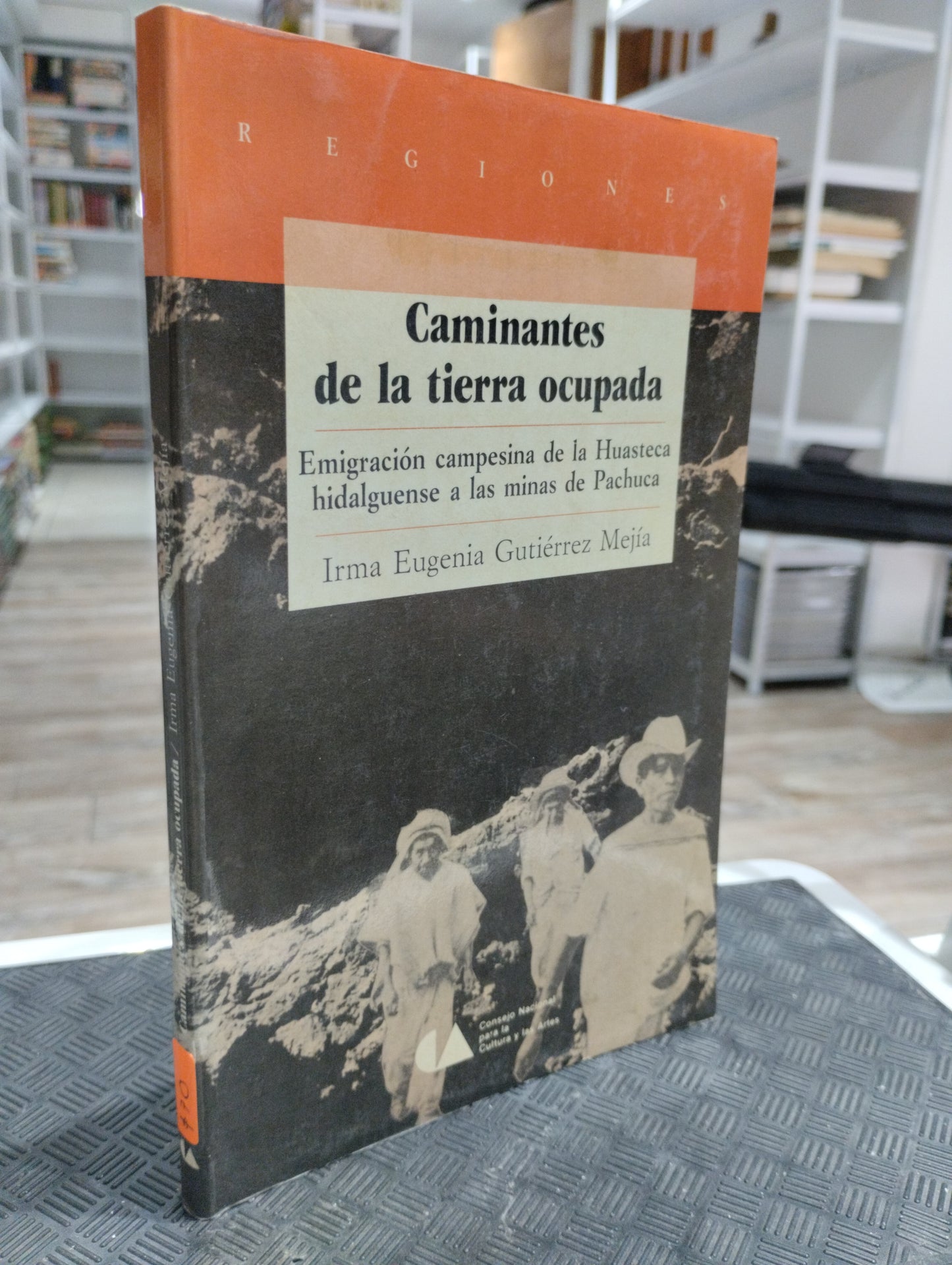 CAMINANTES DE LA TIERRA OCUPADA POR IRMA EUGENIA GUITIERREZ MEJIA USADO HISTORIA JUAREZ 515