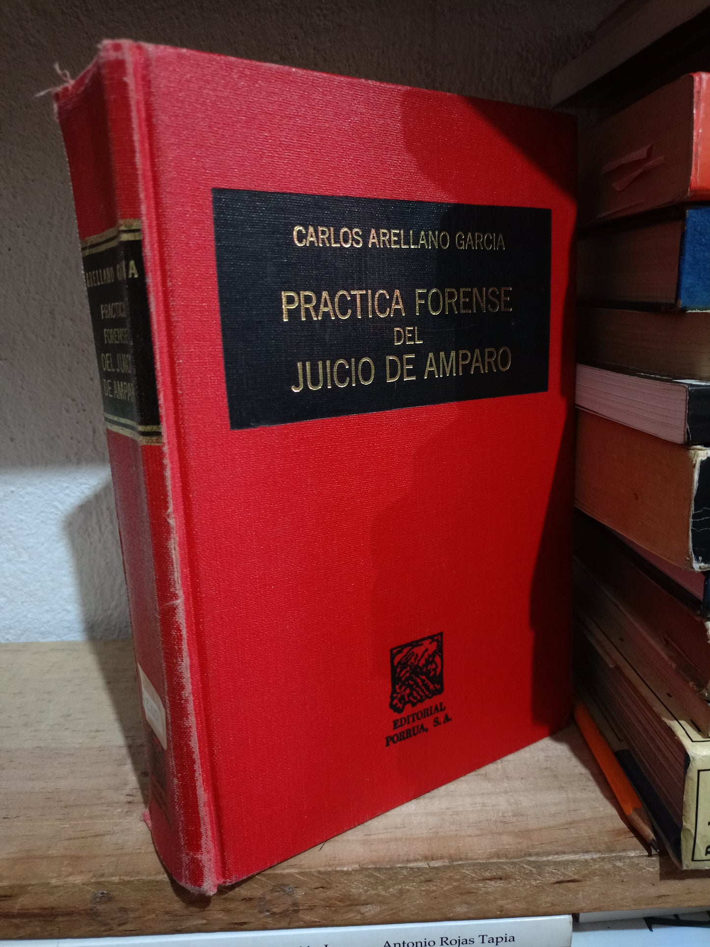 PRACTICA FORENSE DEL JUICIO DE AMPARO POR CARLOS ARELLANO GARCIA USADO DERECHO LITERARIO 305