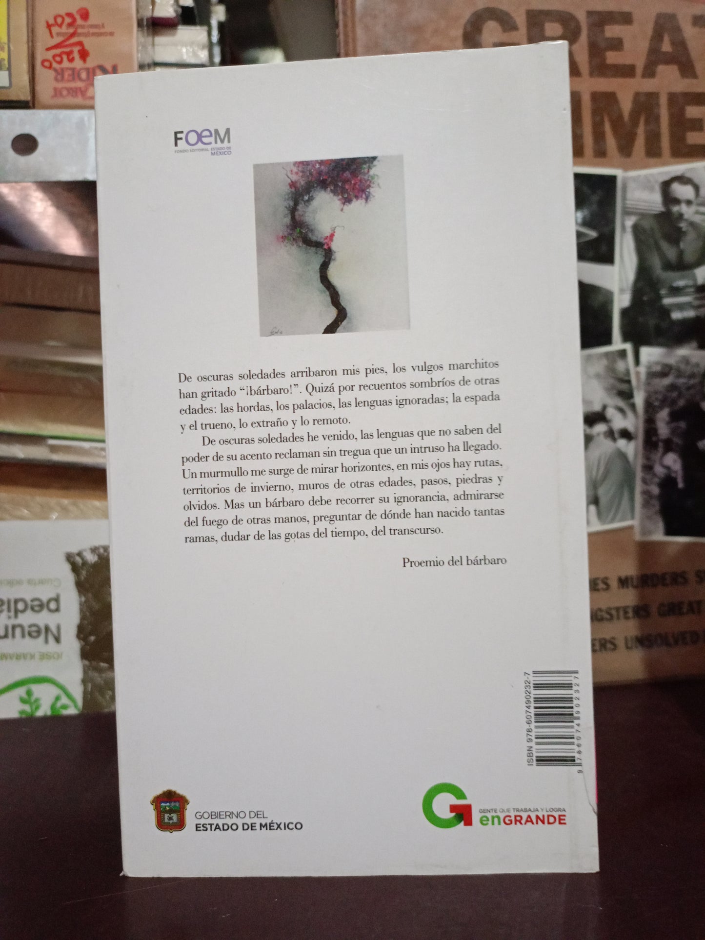 LA EDAD DE LAS ESFINGES FERNANDO CORONA USADO NOVELA LITERARIO 305