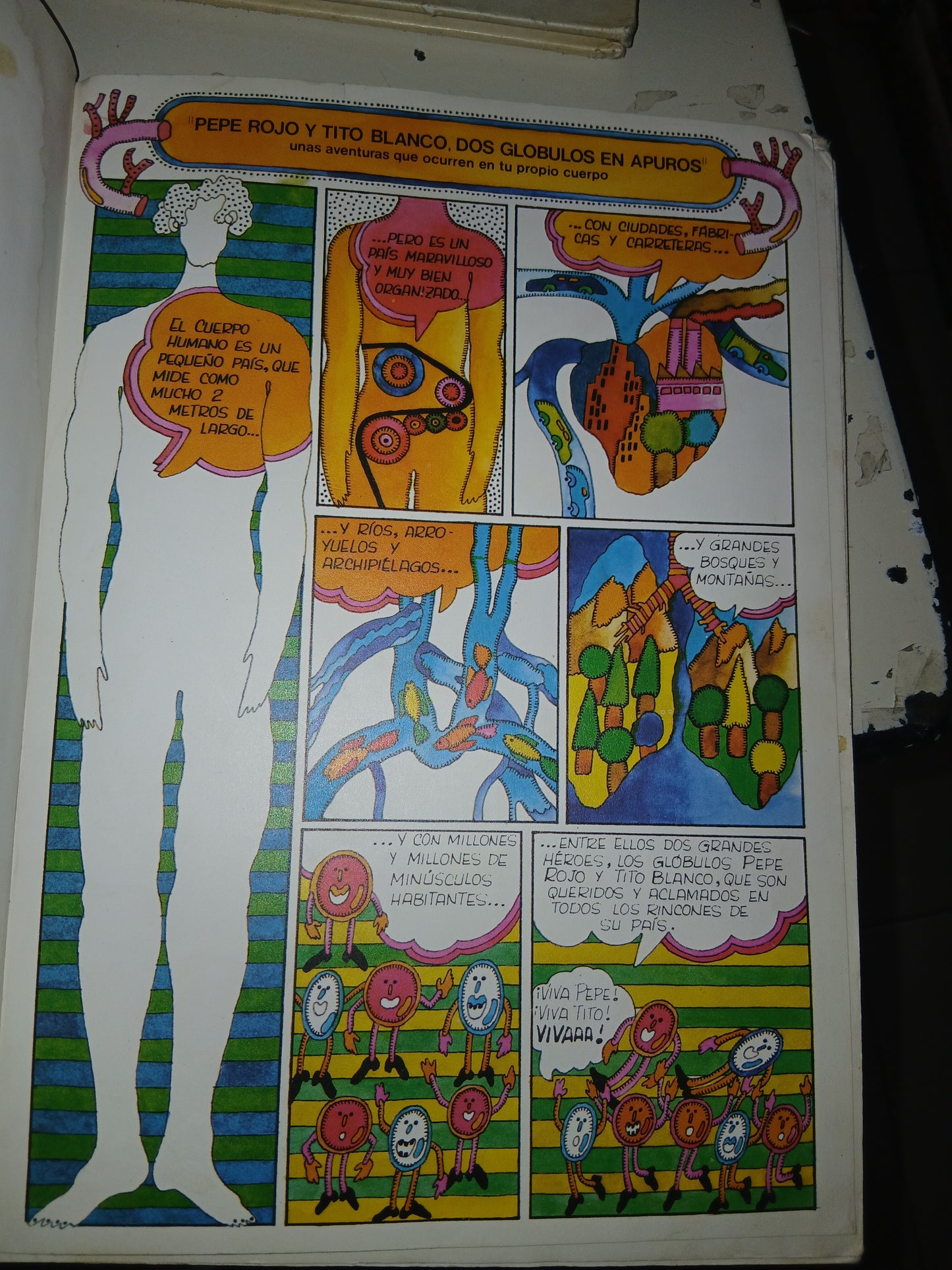 DOS GLÓBULOS EN APUROS POR DANIEL REGUEIRO Y SÁNCHEZ MUÑOZ USADO INFANTIL LITERARIO 207