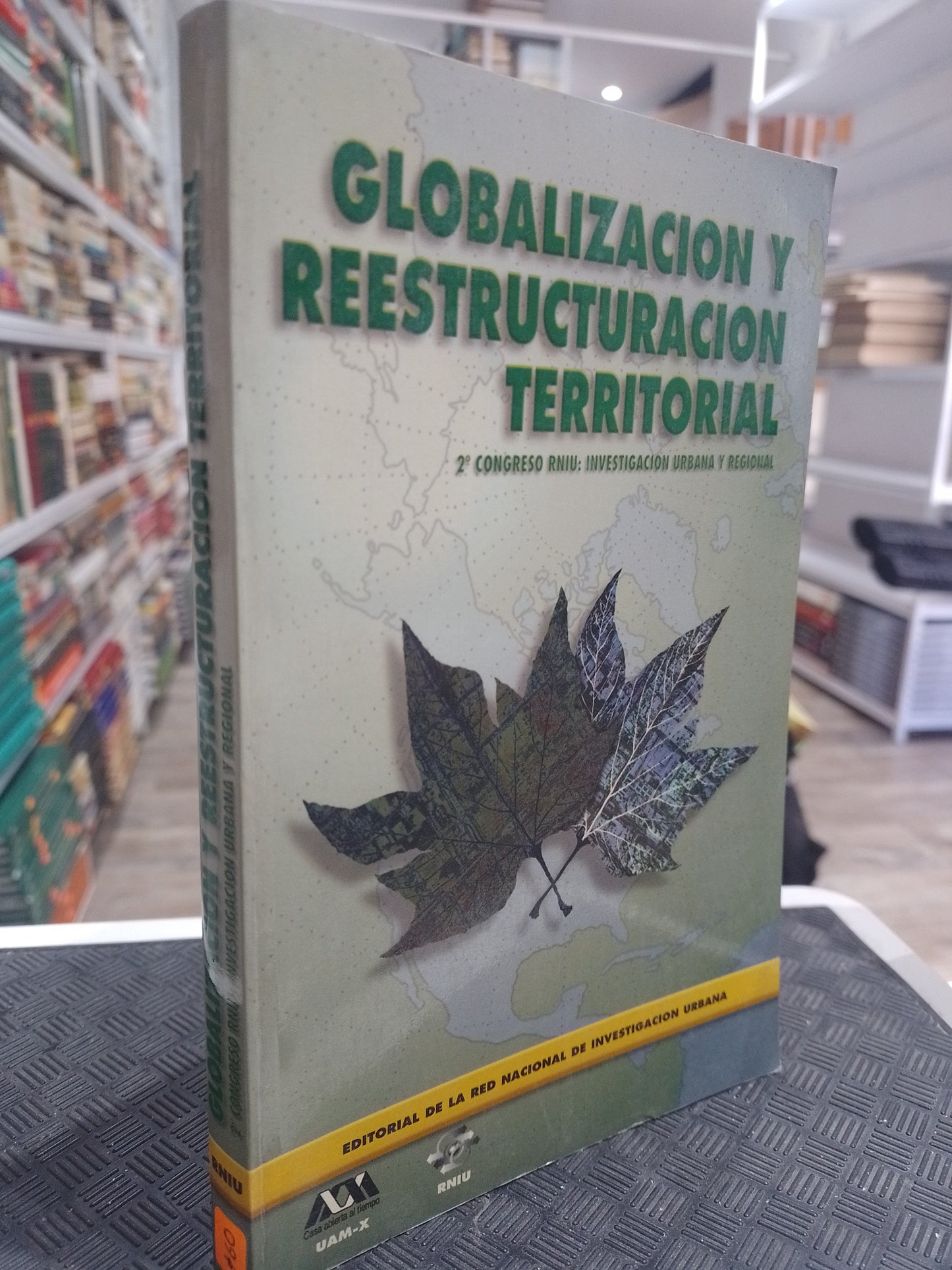 GLOBALIZACION Y RESTRUCTURACION TERRITORIAL POR ELSA PATIÑO TOVAR Y JAIME CASTILLO PALMA USADO SOCIOLOGIA JUAREZ 515