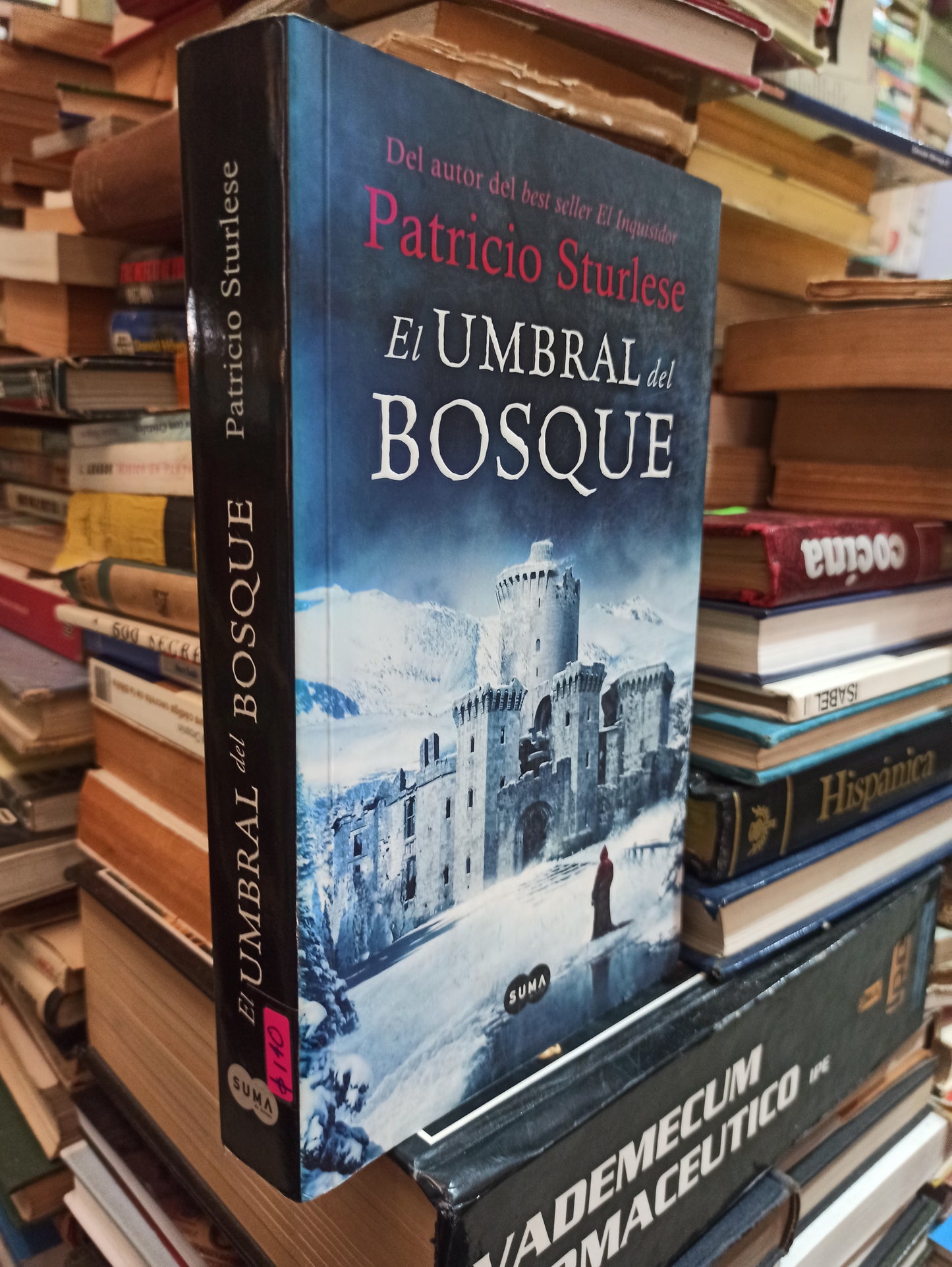 EL UMBRAL DEL BOSQUE POR PATRICIO STURLESE USADO NOVELAS ALDAMA