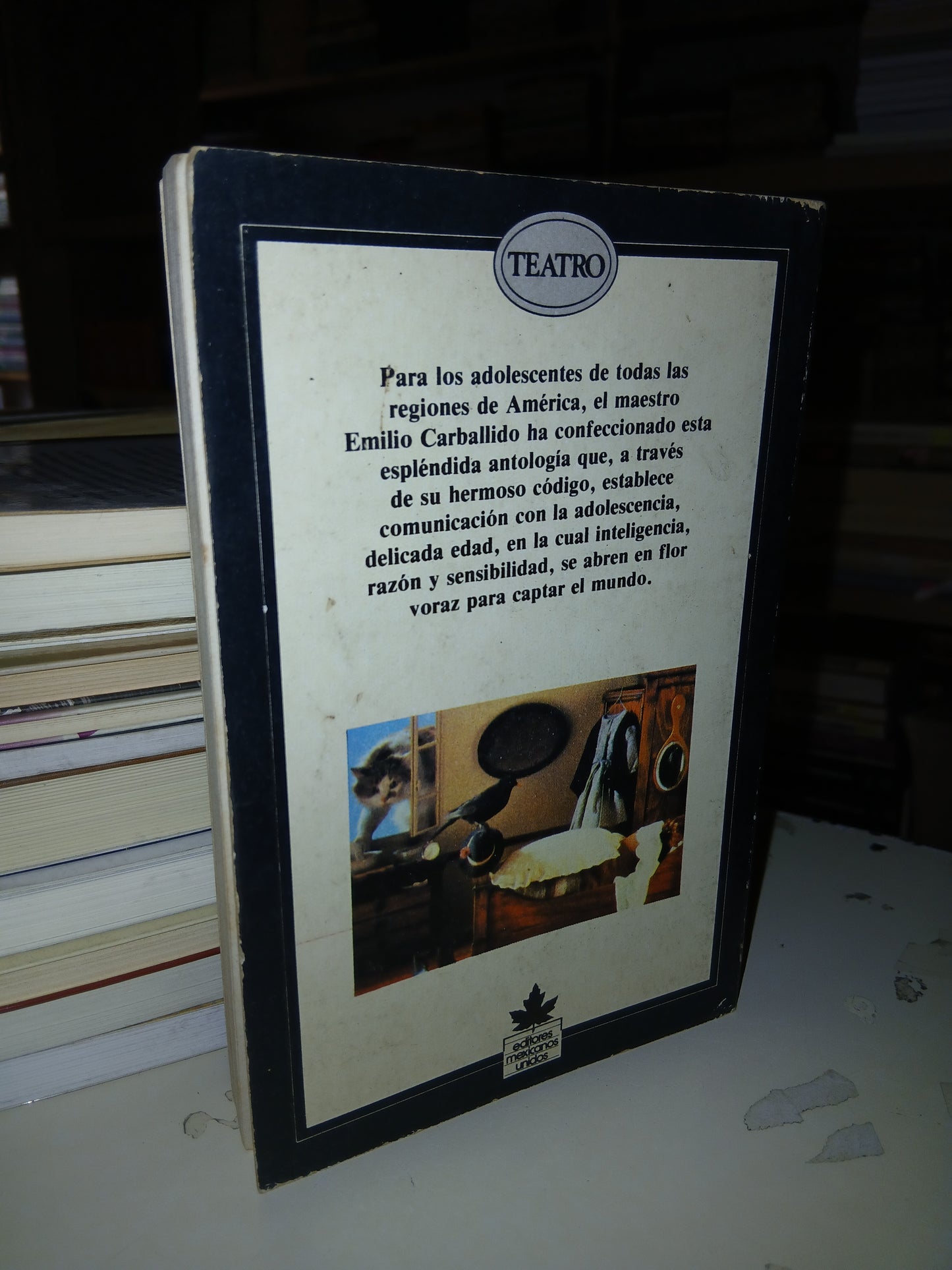 TEATRO PARA ADOLESCENTES POR EMILIO CARBALLIDO USADO TEATRO LITERARIO 207