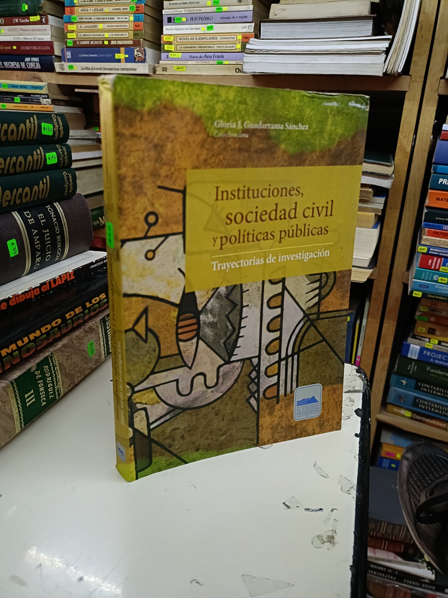 INSTITUCIONES, SOCIEDAD CIVIL Y POLÍTICAS PÚBLICAS TRAYECTORIAS DE INVESTIGACIÓN COORDINADO POR GLORIA J. GUADARRAMA SÁNCHEZ USADO SOCIOLOGÍA LITERARIO 207