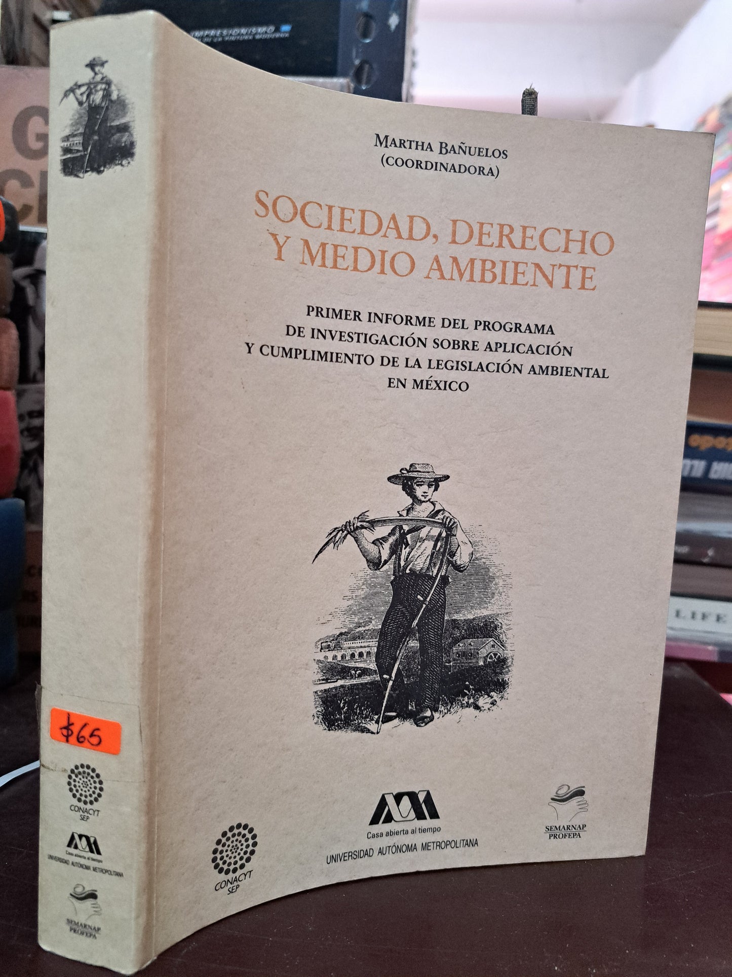 SOCIEDAD, DERECHO Y MEDIO AMBIENTE PRIMER INFORME DEL PROGRAMA DE INVESTIGACIÓN SOBRE APLICACIÓN Y CUMPLIMIENTO DE LA LEGISLACIÓN AMBIENTAL EN MÉXICO MARTHA BAÑUELOS (coord) USADO DERECHO LITERARIO 305