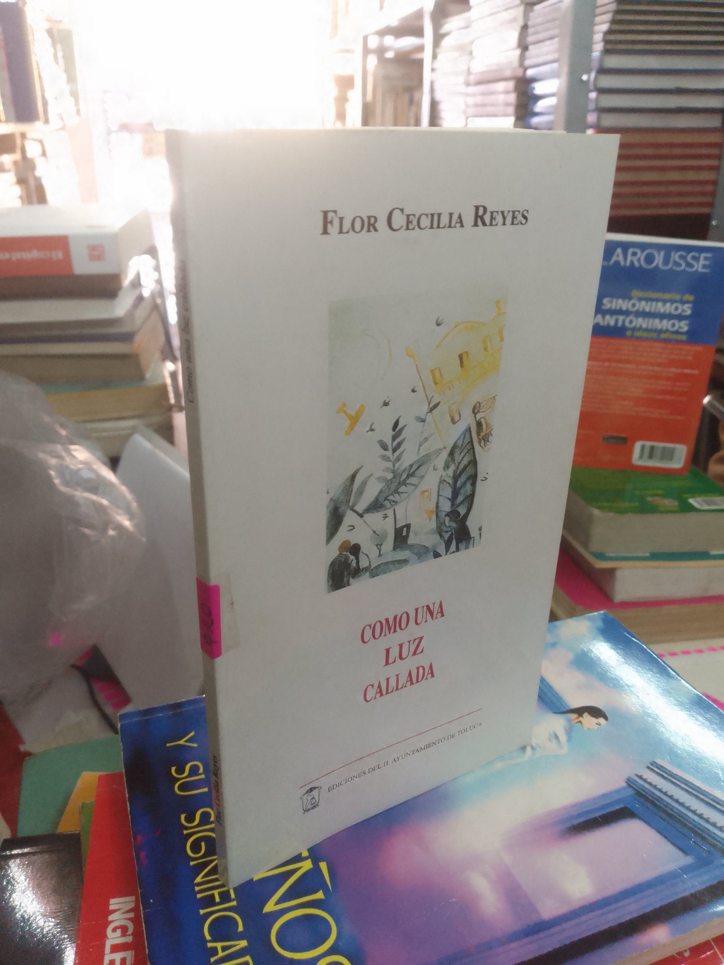 CÓMO UNA LUZ CALLADA POR FLOR CECILIA REYES USADO POESÍA LITERARIO 207