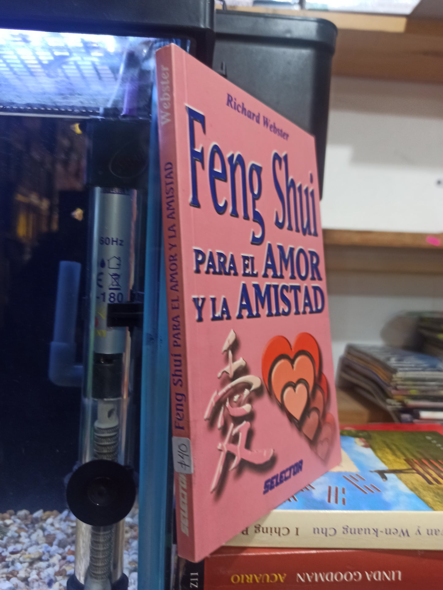FENG SHUI PARA EL AMOR Y LA AMISTAD POR RICHARD WEBSTER USADO ESOTERISMO JUÁREZ