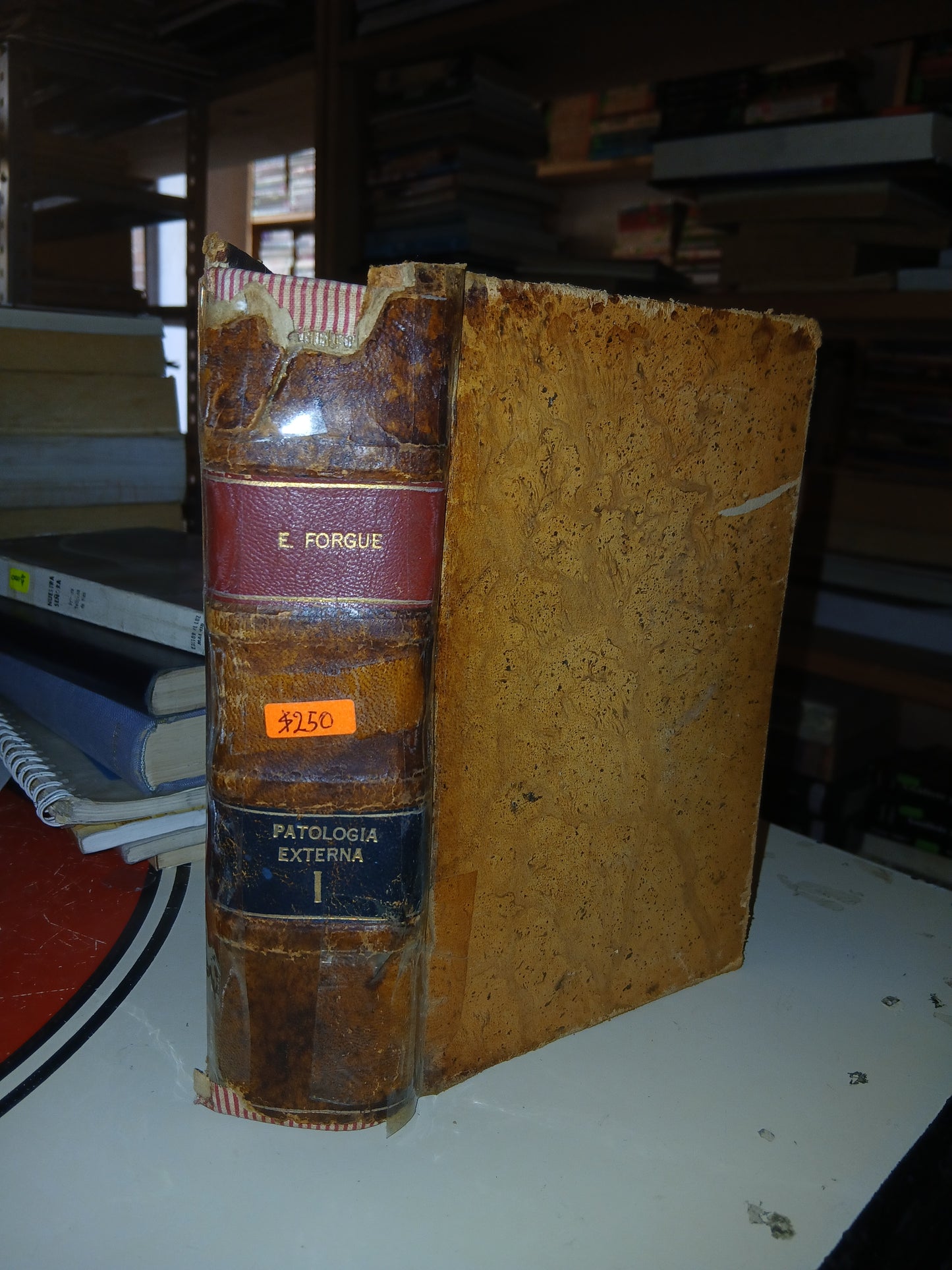 PATOLOGÍA EXTERNA I (TOMO I) POR E. FORGUE USADO MEDICINA LITERARIO 207
