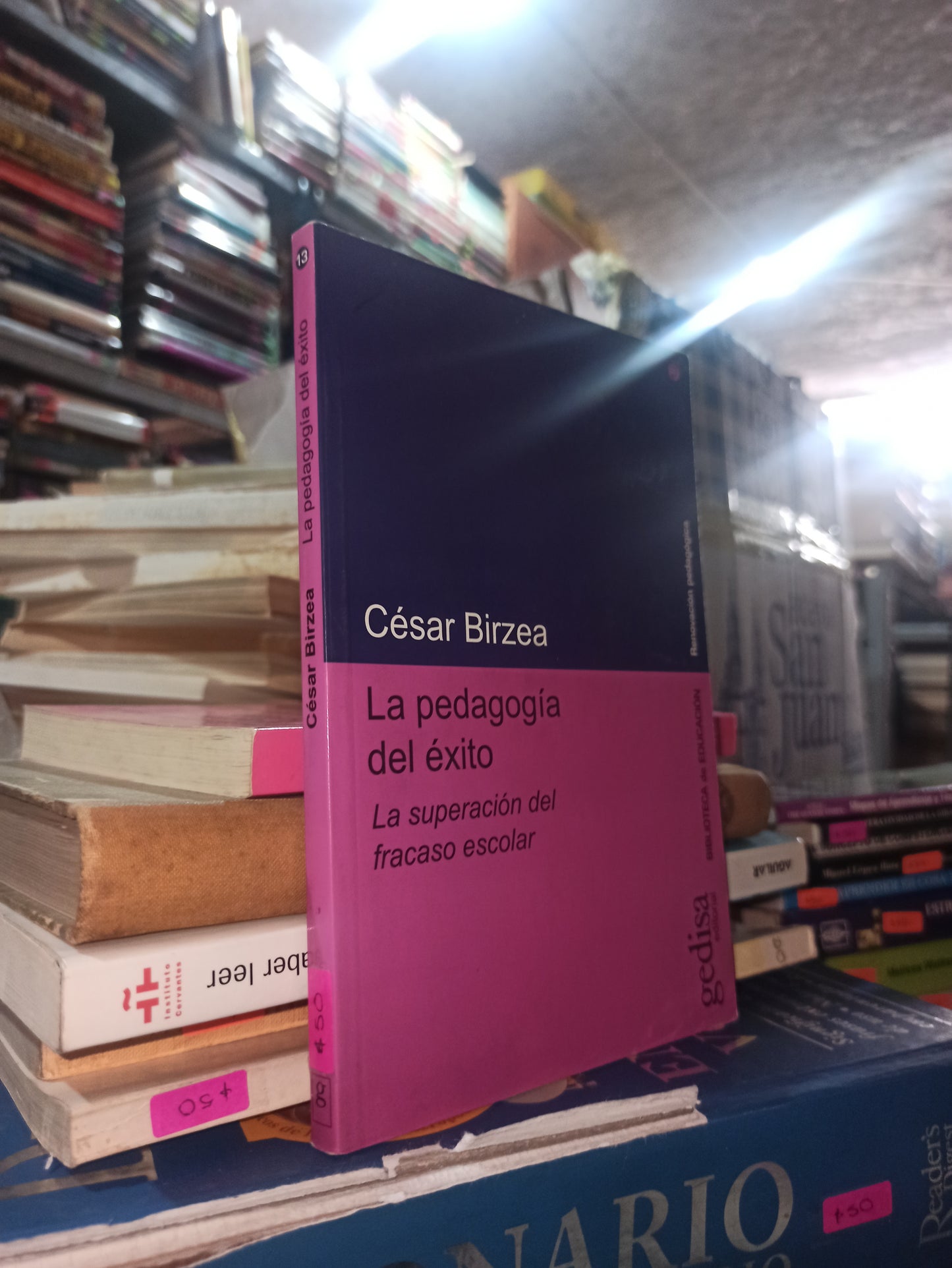 LA PEDAGOGIA DEL EXITO POR CESAR BIRZEA USADO EDUCACIÓN ALDAMA