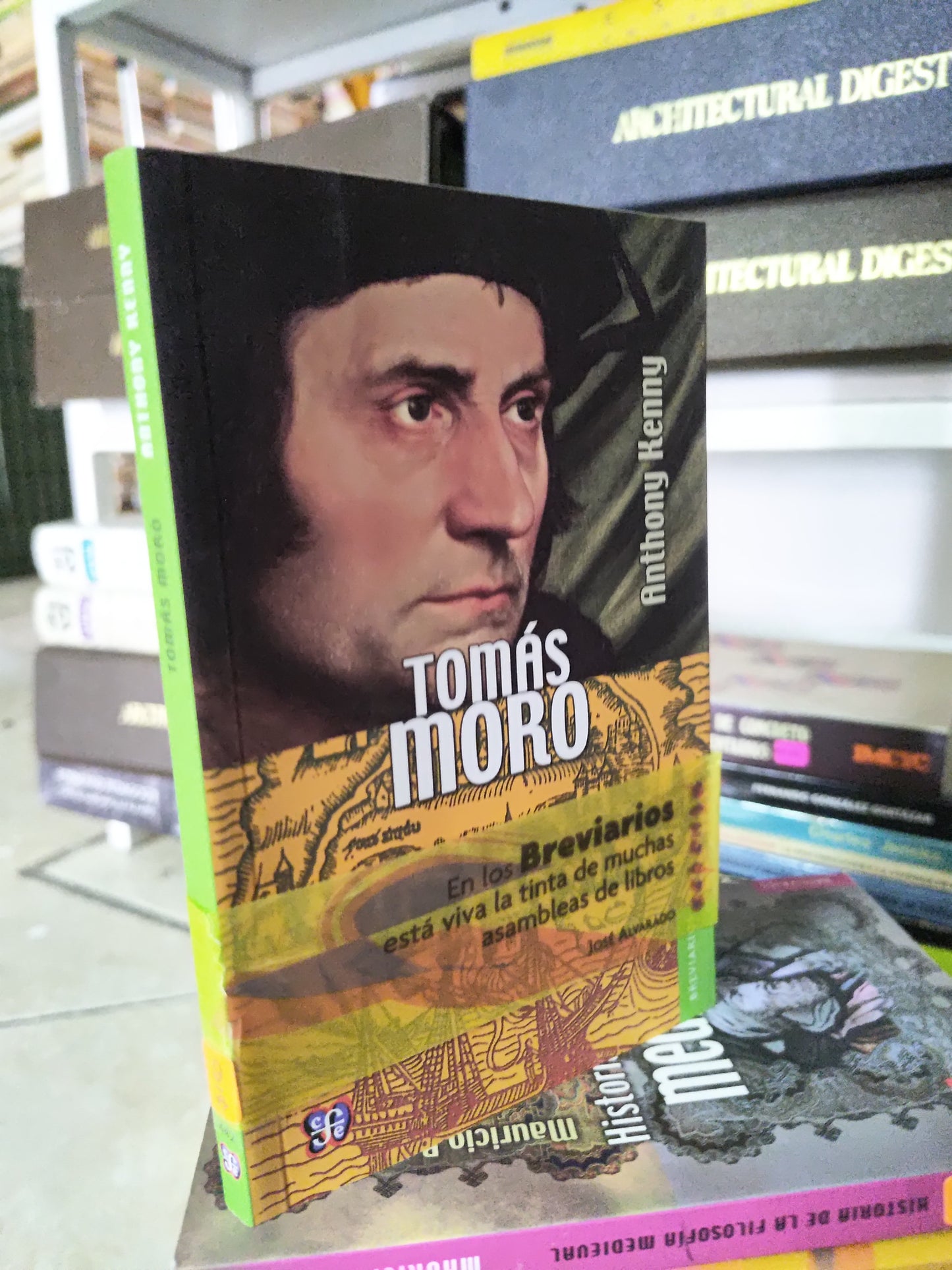 TOMAS MORO POR ANTHONY KENNY USADO SOCIOLOGIA JUAREZ 515