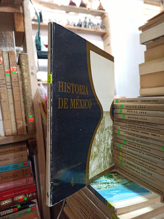 HISTORIA DE MEXICO POR MIRNA ALICIA BENITEZ JUAREZ USADO HISTORIA ALDAMA