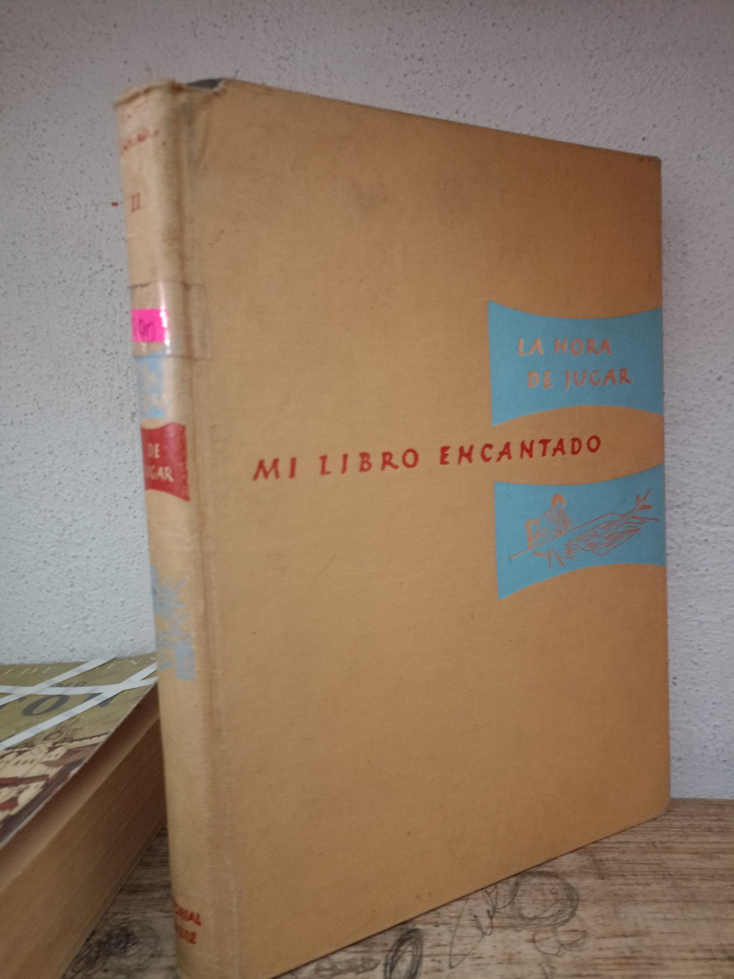 MI LIBRO ENCANTADO USADO INFANTIL LITERARIO 305