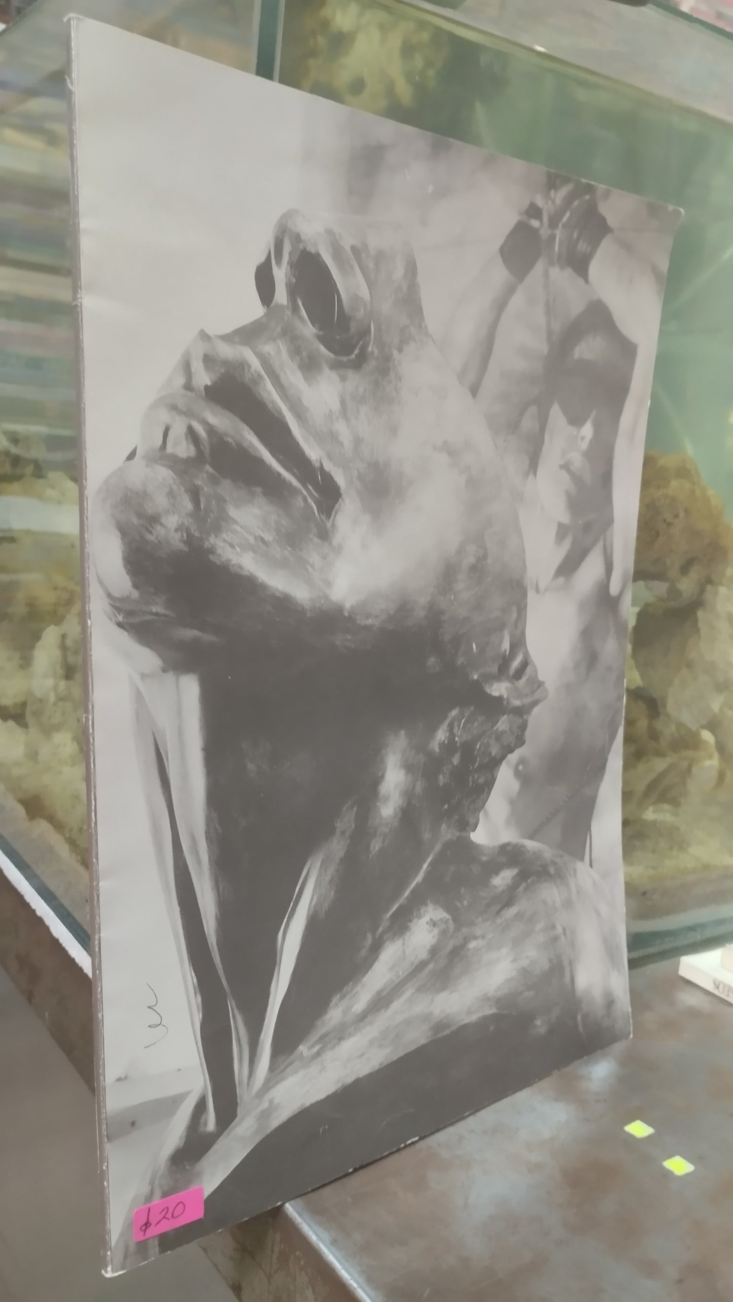 ROBERTO CORTAZAR LIBRO USADO ARTE ALDAMA