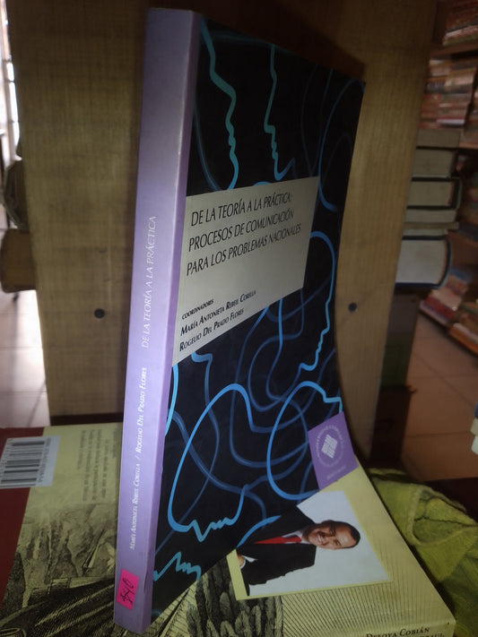 DE LA TEORIA A LA PRÁCTICA PROCESO DE COMUNICACIÓN PARA LOS PROBLEMAS NACIONALES POR AUTORES VARIOS USADO POLÍTICA LITERARIO 207