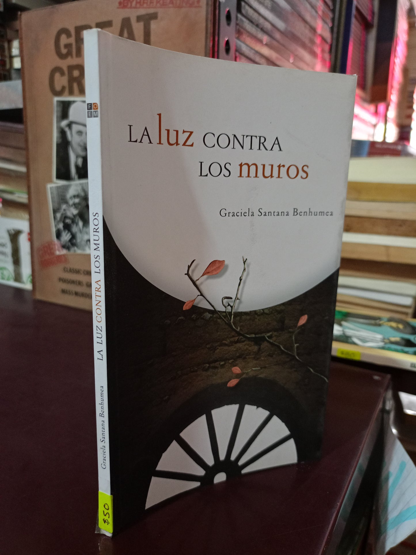 LA LUZ CONTRA LOS MUROS POR GRACIELA SANTANA BENHUMEA USADO NOVELA LITERARIO 305