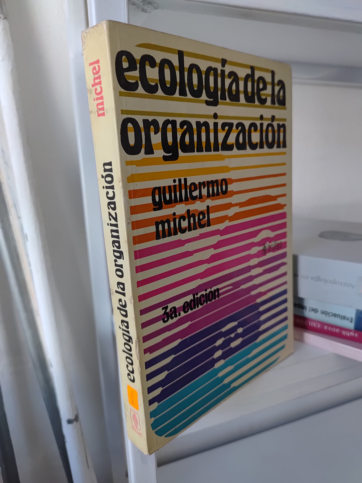 ECOLOGIA DE LA ORGANIZACION POR GUILLERMO MICHEL USASO SOCIOLOGIA JUAREZ 515
