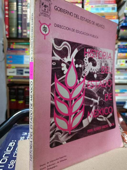HISTORIA DEL ESTADO DE MEXICO ALFONSO SÁNCHEZ GARCÍA USADO HISTORIA LITERARIO 305