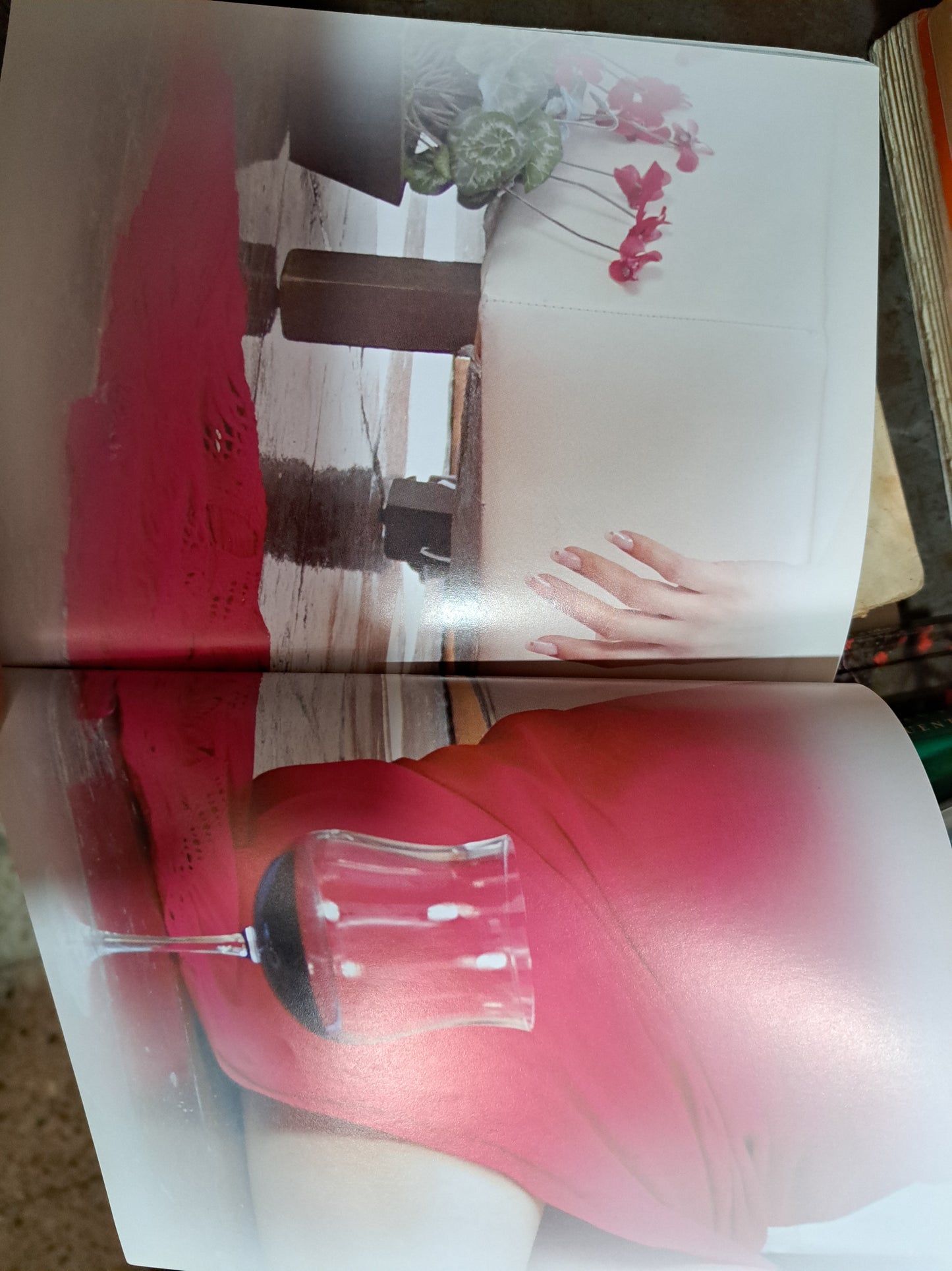 DROSERA POEMAS LILIANA A. URIBE USADO POESÍA ALDAMA