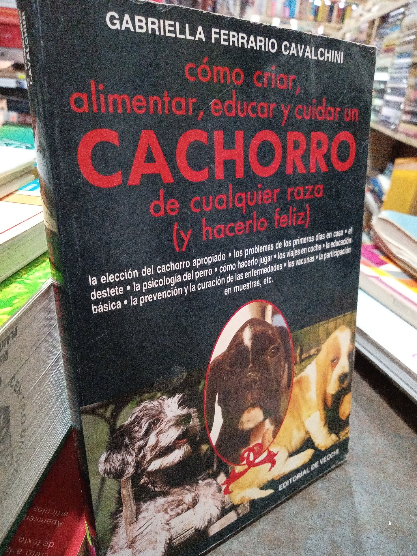 COMO CRIAR ALIMENTAR EDUCAR Y CUIDAR UN CACHORRO DE CUALQUIER RAZA Y HACERLO FELIZ POR GABRIELLA FERRARIO CAVALCHINI USADO VETERINARIA ALDAMA
