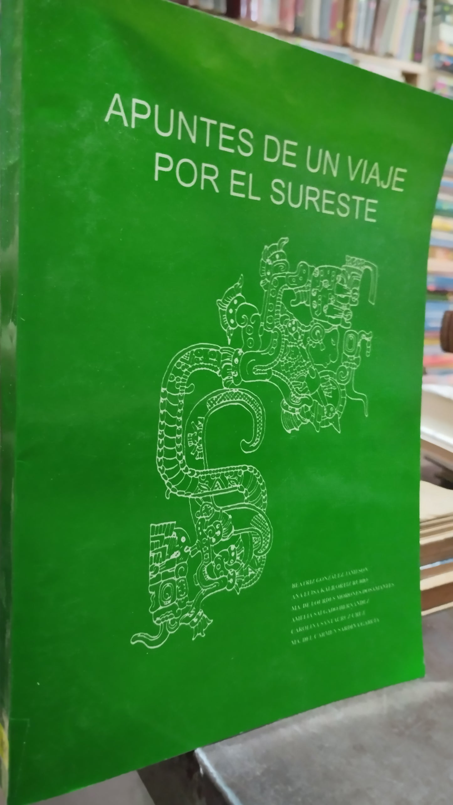 APUNTES DE UN VIAJE POR EL SURESTE POR BEATRIZ GONZALES JAMESON LIBRO USADO ANTIGUO ALDAMA