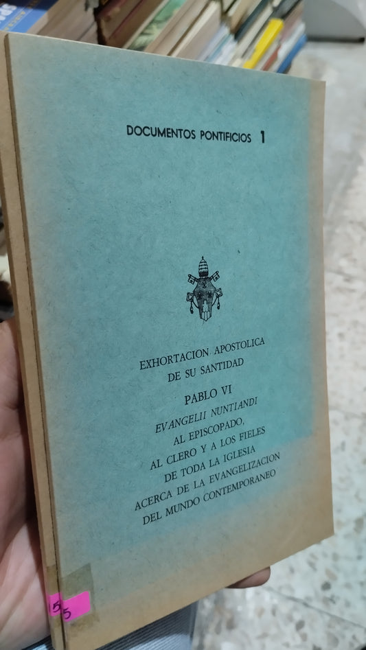 EXHORTACIÓN APOSTOLICA DE SU SANIDAD PABLO VI POR LA IMPRESION LITOGRAFICA MEXICO LIBRO USADO RELIGION ALDAMA