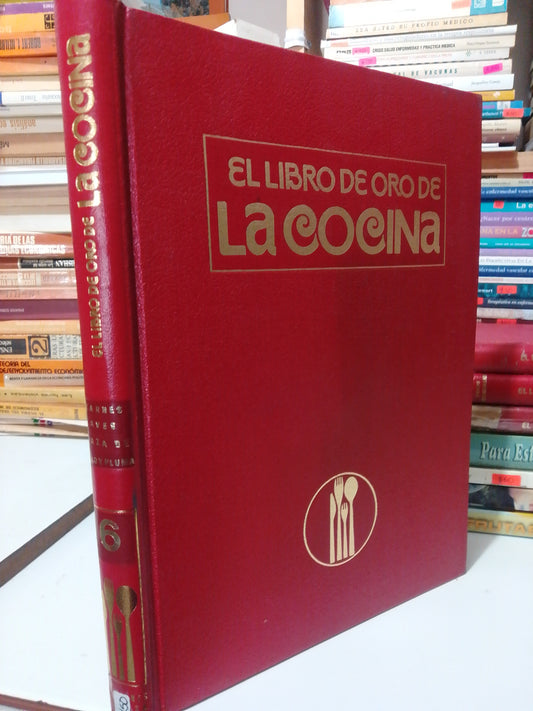 EL LIBRO DE ORO DE COCINA USADO COCINA JUAREZ