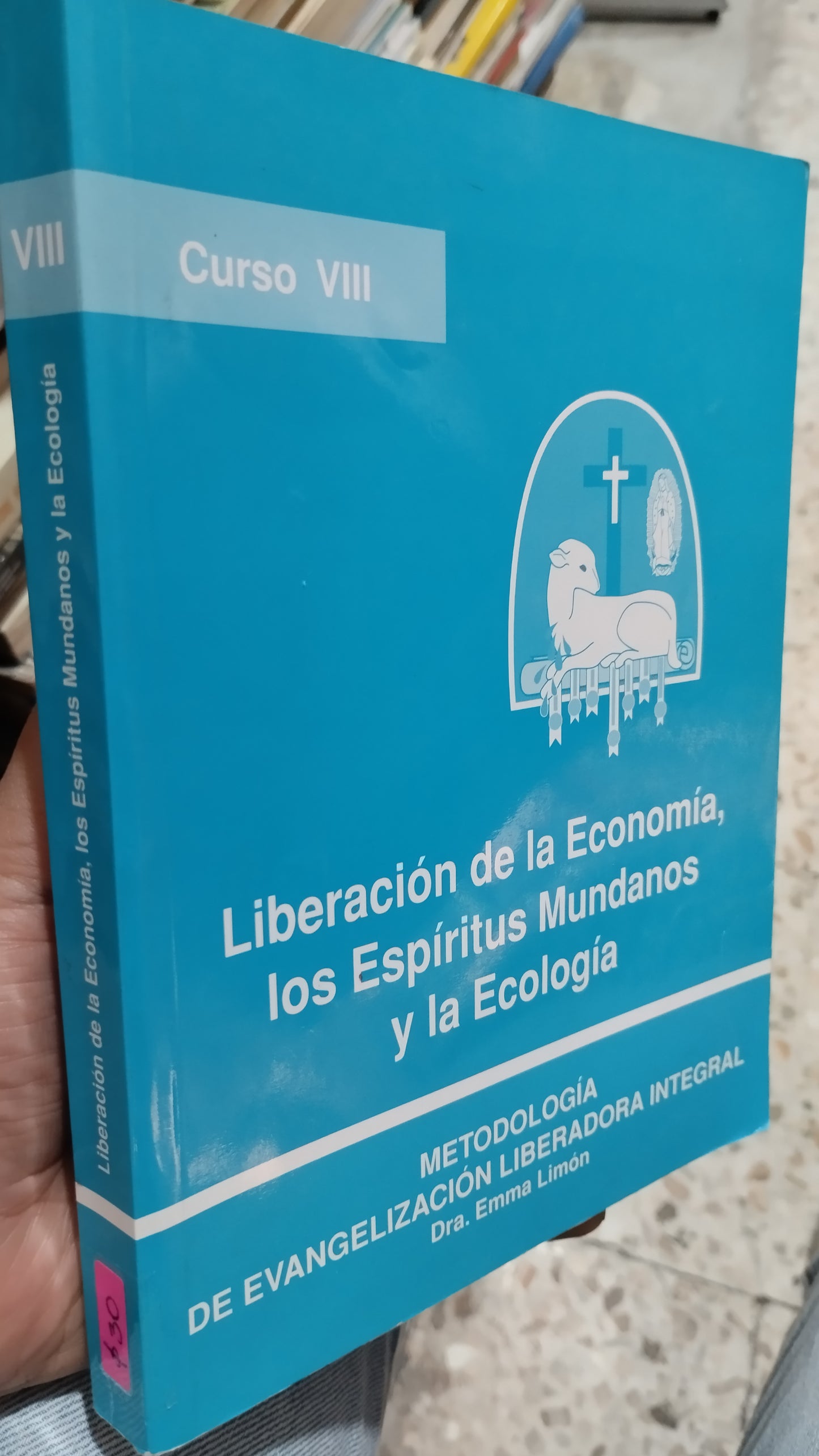 LIBERACION DE LA ECONOMIA LOS ESPIRITUS MUNDANOS Y LA ECOLOGIA LIBRO USADO RELIGION ALDAMA
