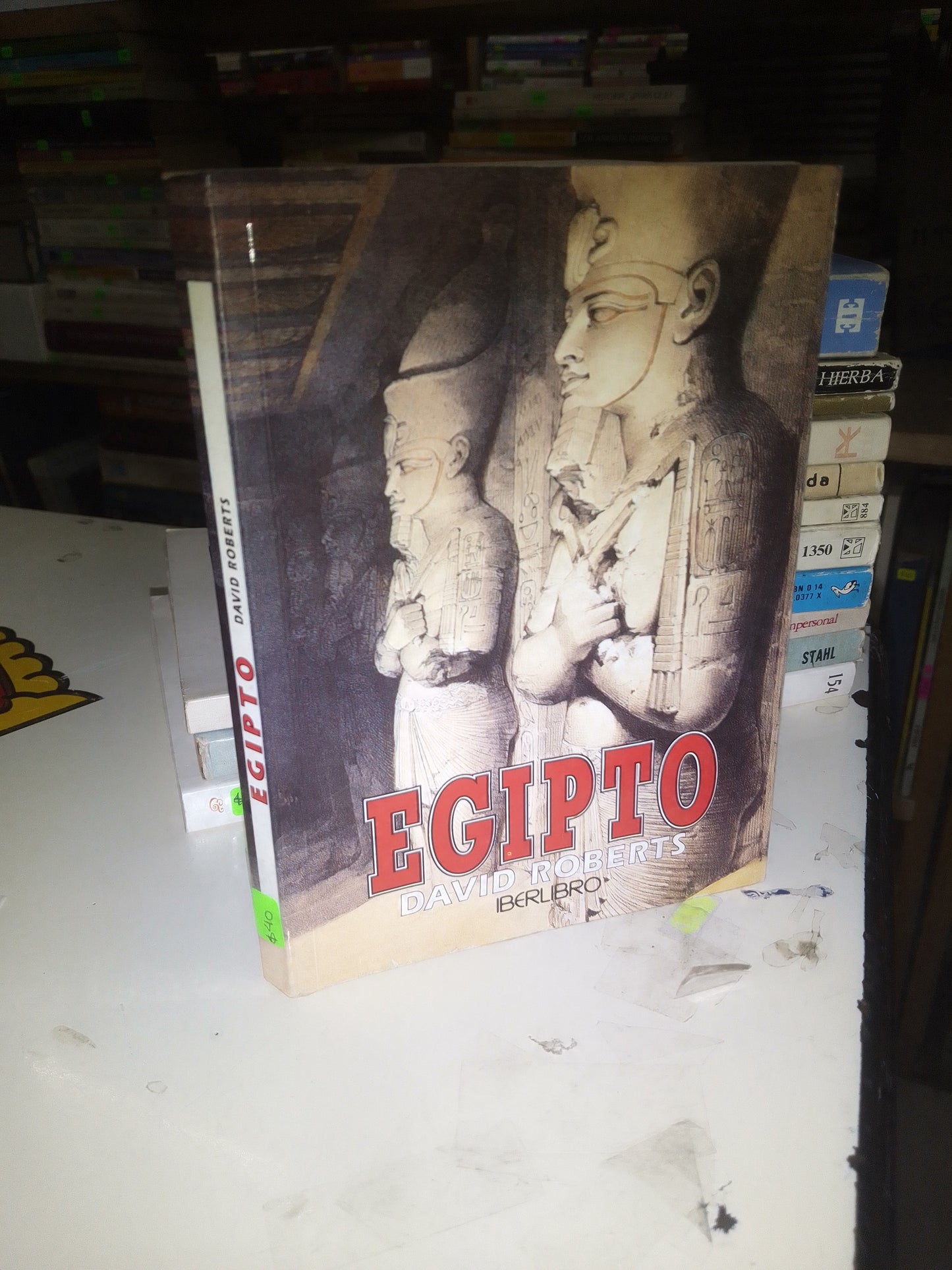 EGIPTO POR DAVID ROBERTS USADO HISTORIA LITERARIO 207