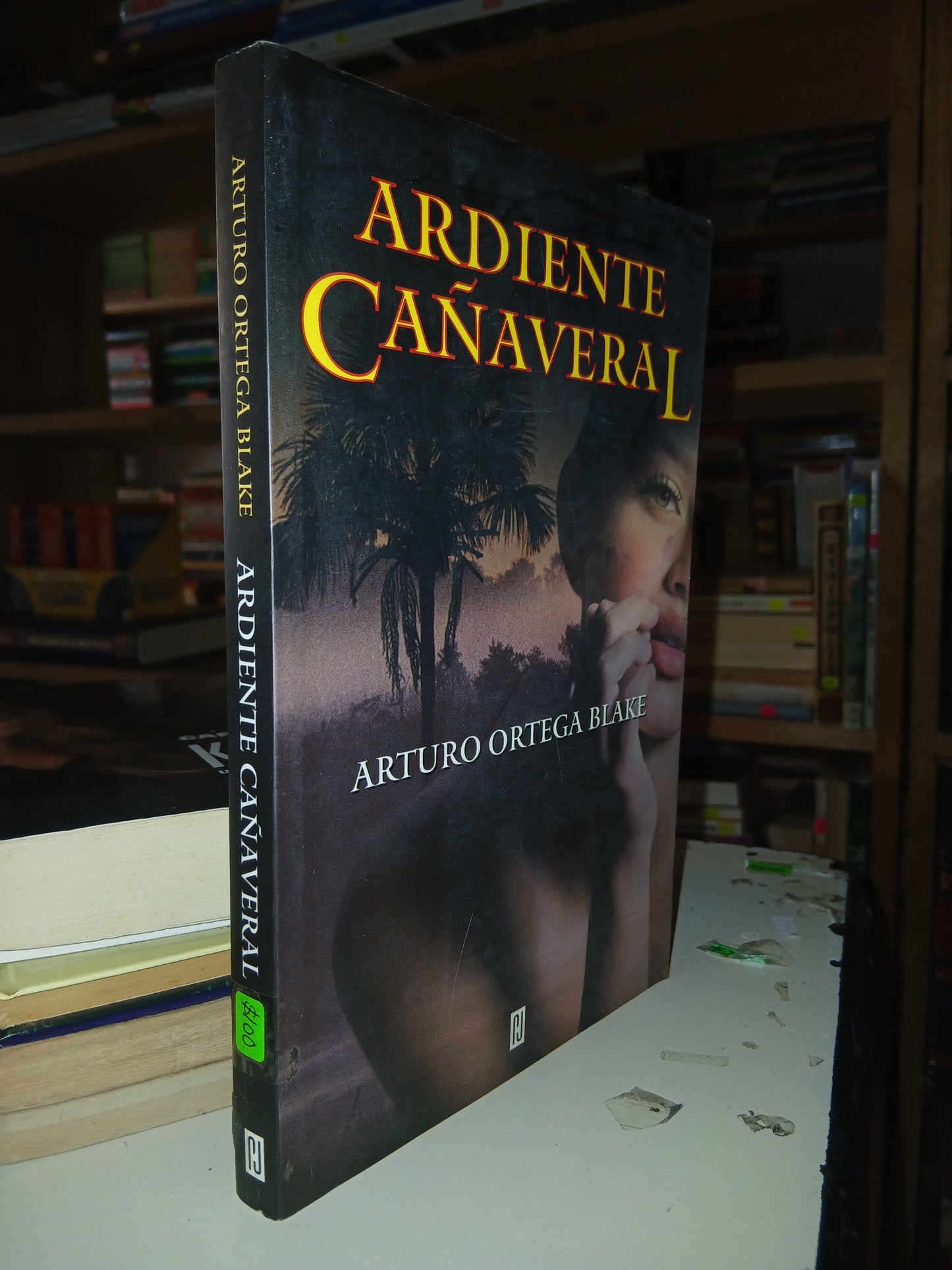 ARDIENTE CAÑAVERAL POR ARTURO ORTEGA BLAKE USADO NOVELA LITERARIO 207