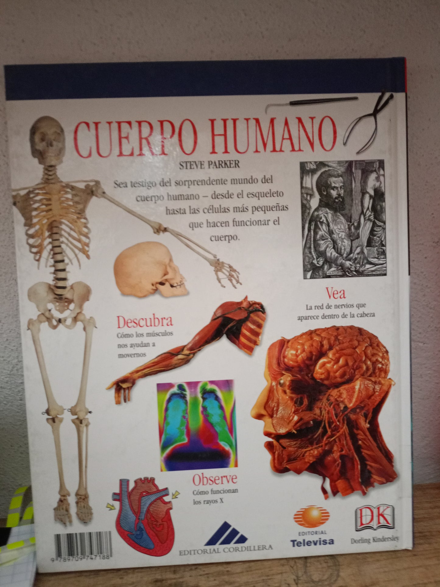 GUIAS VISUALES CUERPO HUMANO USADO INFANTIL LITERARIO 305