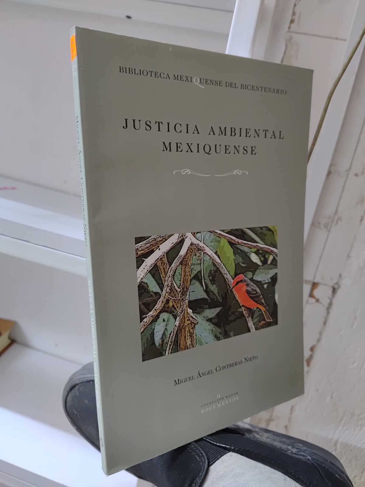 JUSTICIA AMBIENTAL POR MIGUEL ANGEL CONTRERAS NIETO USADO DERECHO JUAREZ 515