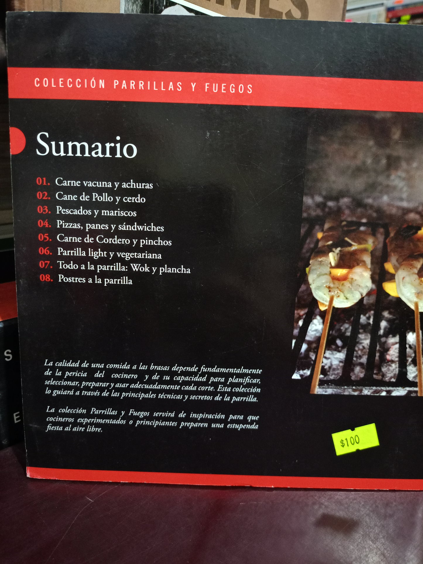 COLECCIÓN PARRILLAS Y FUEGOS USADO COCINA LITERARIO 305