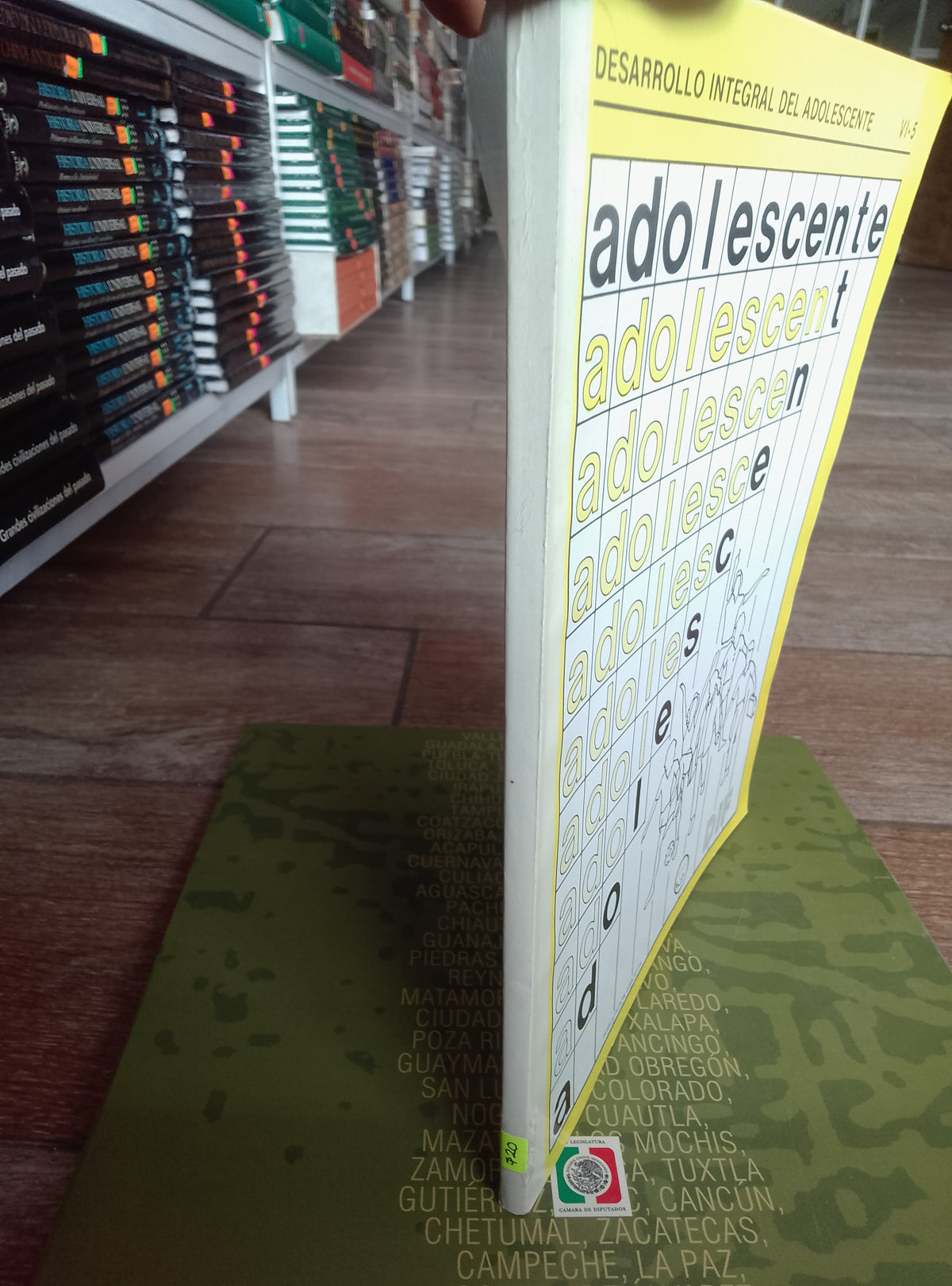 DESARROLLO INTEGRAL DEL ADOLESCENTE USADO PSICOLOGIA JUAREZ 515